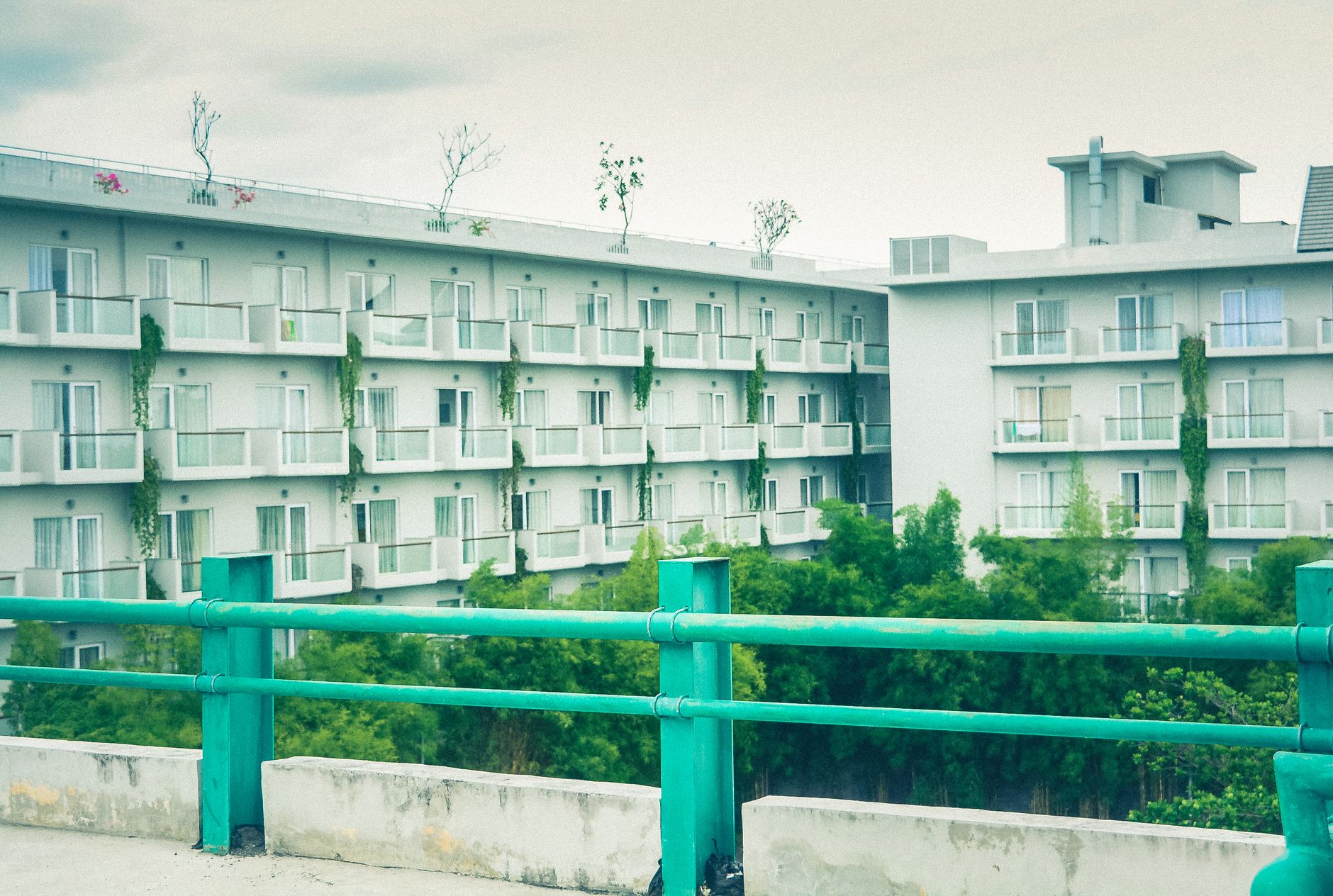Contemporary apartment building surrounded by greenery, showcasing urban architecture.