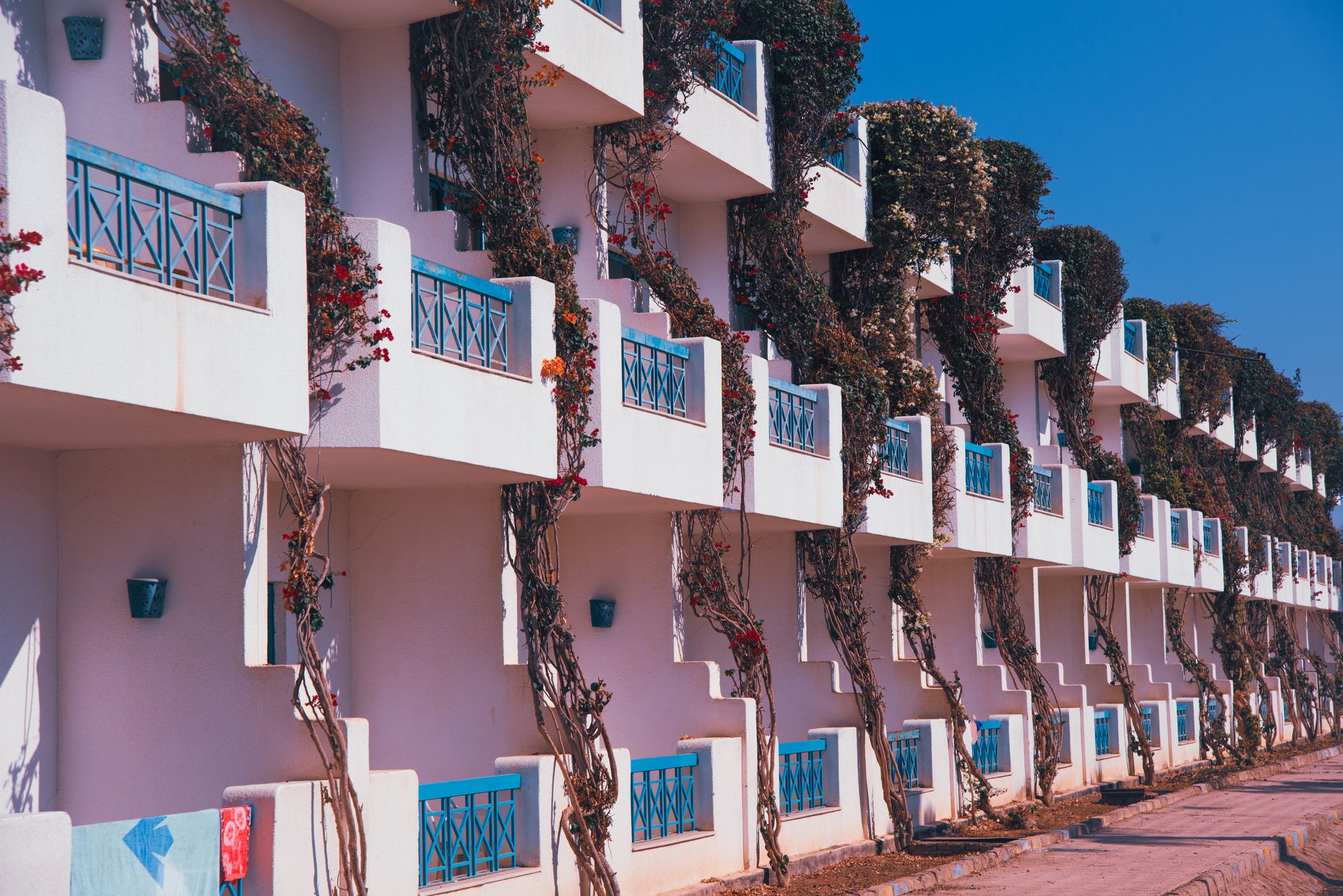 A vibrant modern apartment complex with ivy-covered balconies under bright blue skies.