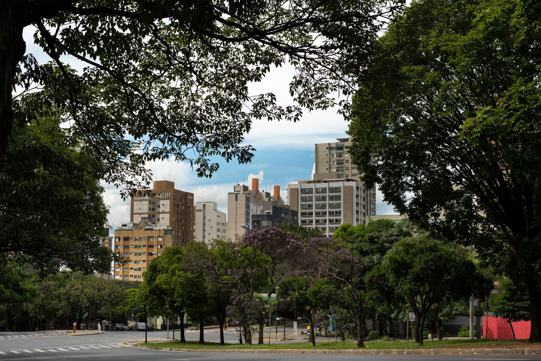 Captivating view of Belo Horizonte's modern skyline framed by lush trees on a quiet street.