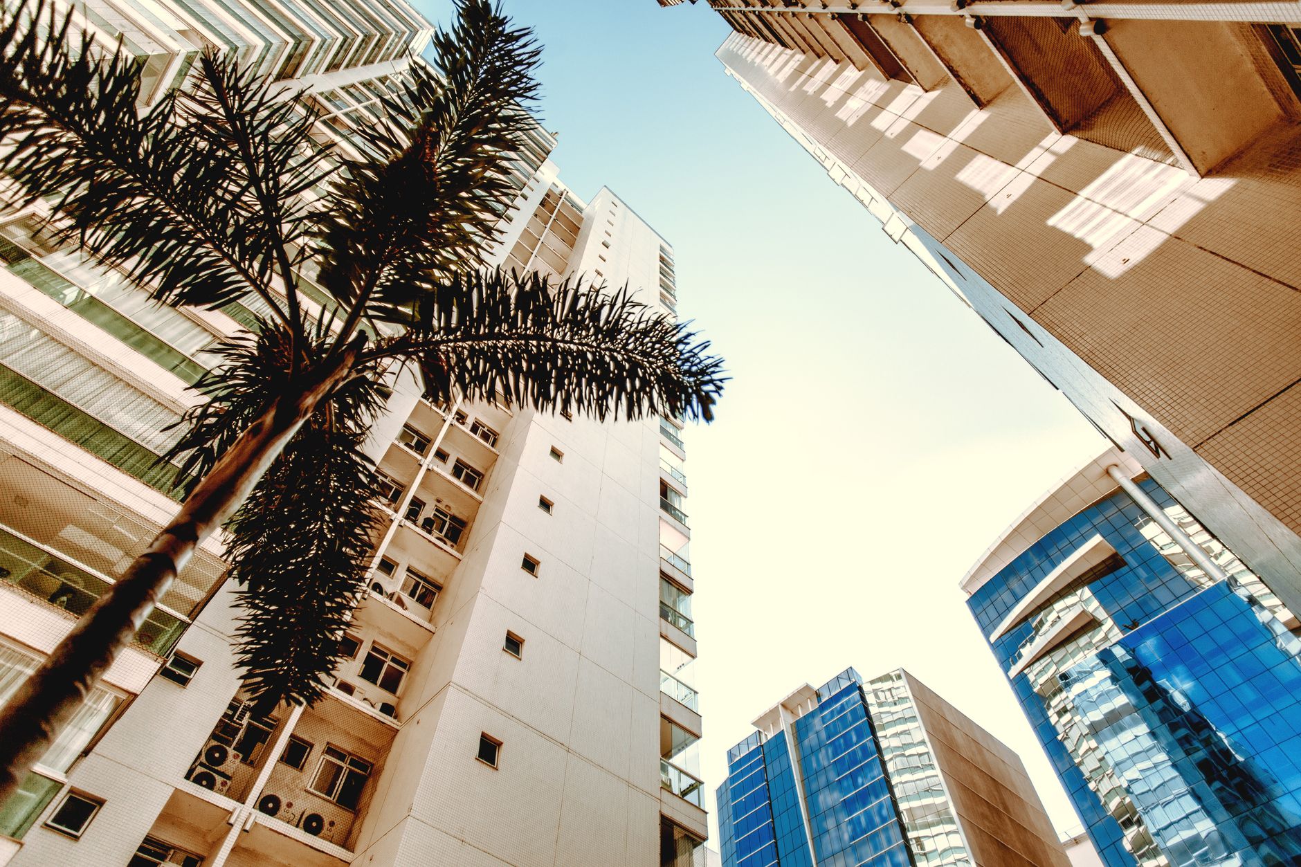 Low angle view of highrise buildings with palm trees, showcasing modern architecture under a bright sky.