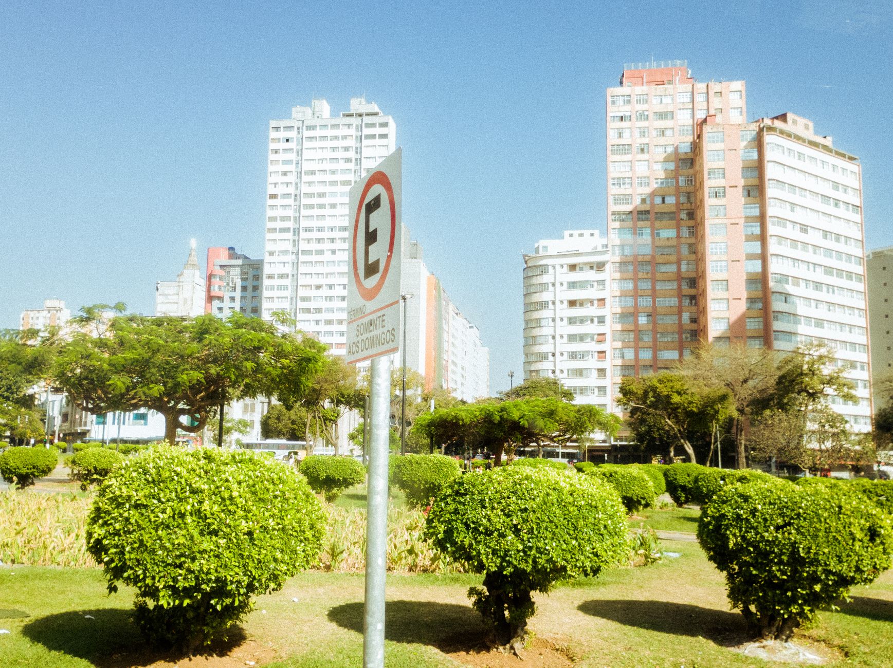 A bustling urban park with greenery and tall buildings under a clear blue sky, featuring a no parking sign.