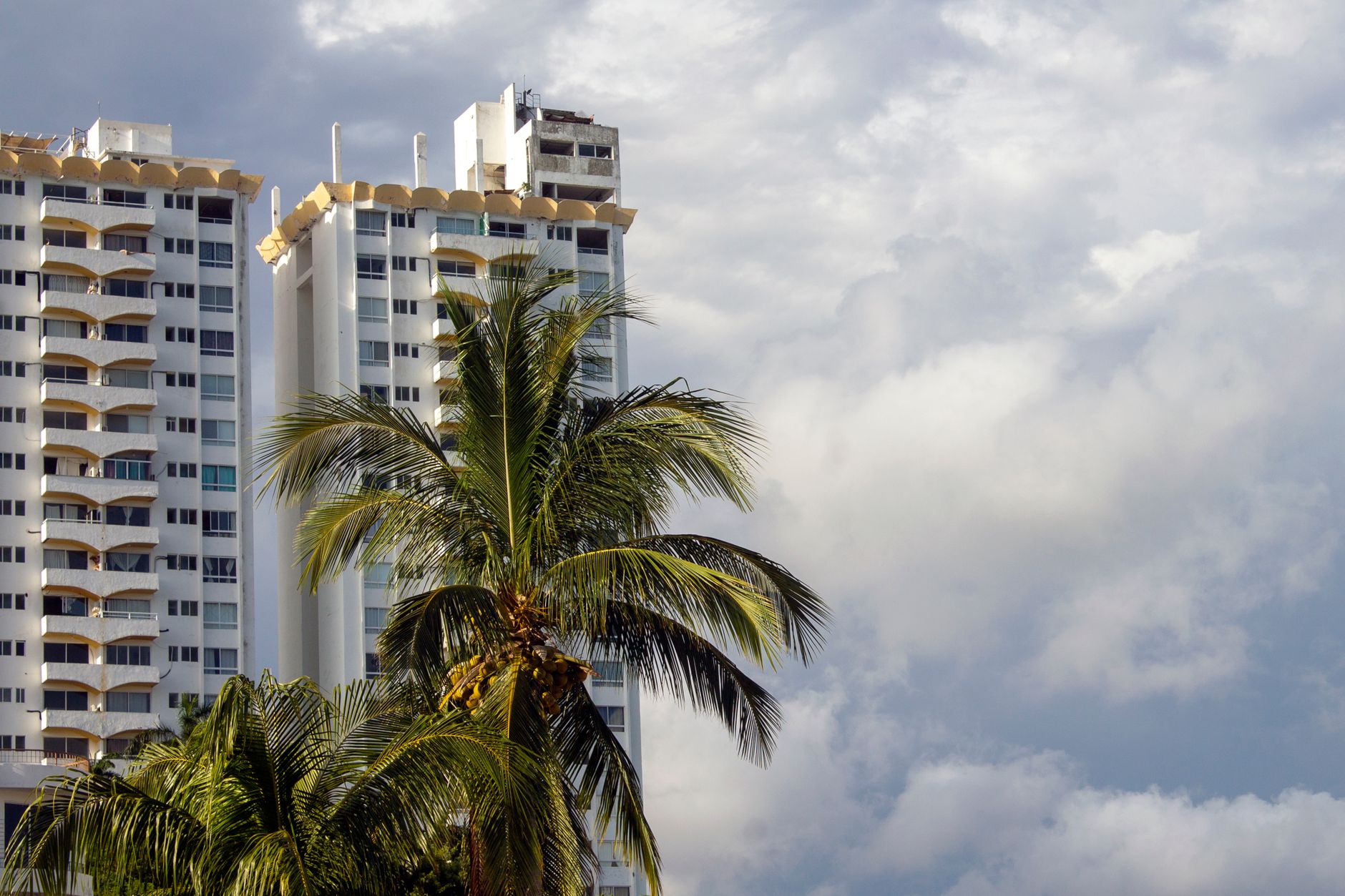 High-rise buildings with tropical palm trees under a cloudy sky, depicting urban tropical living.