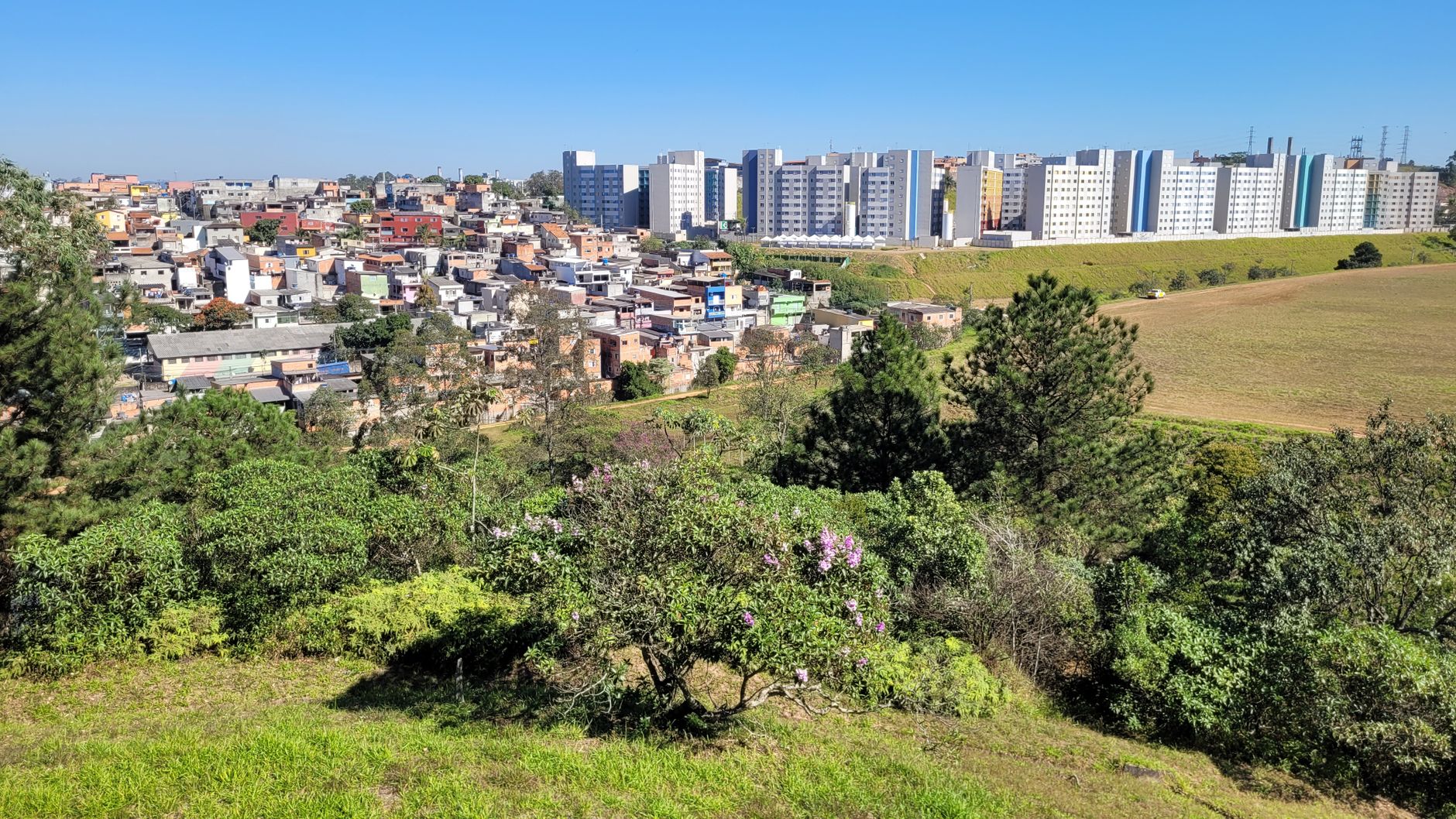 A vibrant view of urban buildings and lush greenery under a clear blue sky.