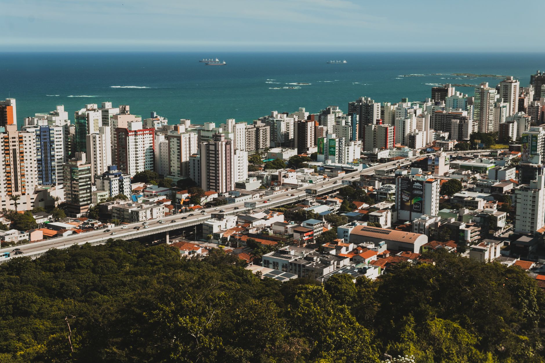 Stunning aerial view of an urban city skyline by the ocean with lush greenery.