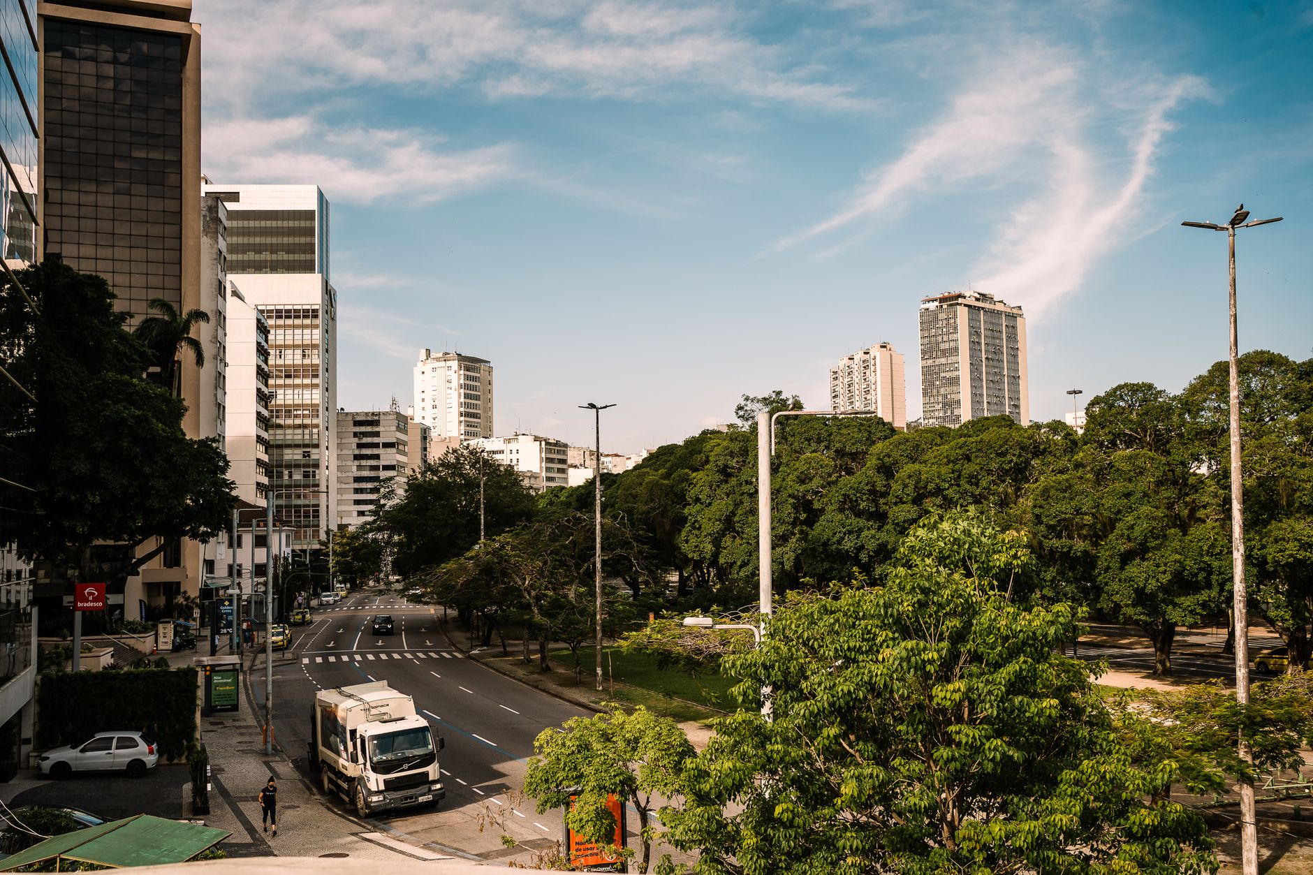 A bright urban scene in Rio de Janeiro with trees and modern buildings lining the street.