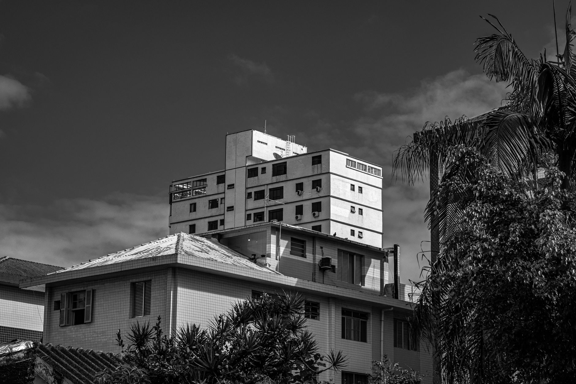 Casal jovem assinando contrato de compra de studio na planta