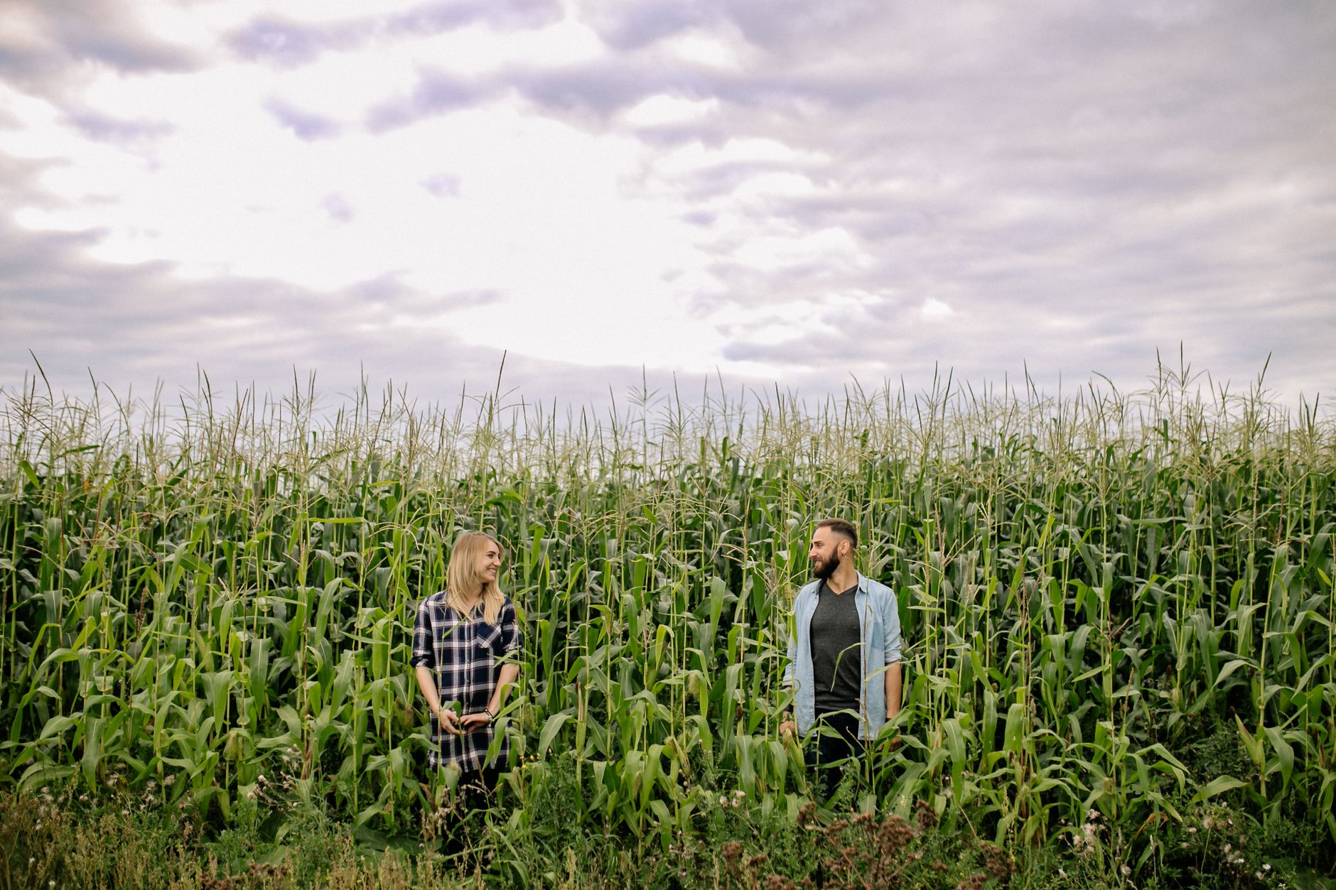 A man and woman happily stand in a lush cornfield under a cloudy sky.