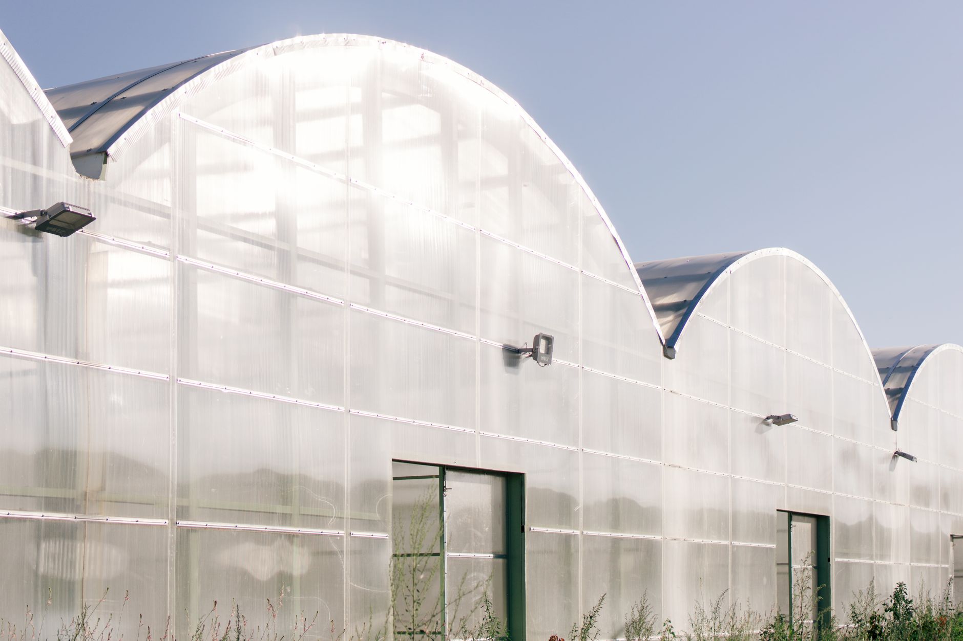 A modern greenhouse with an arched roof design under a clear blue sky in daylight.