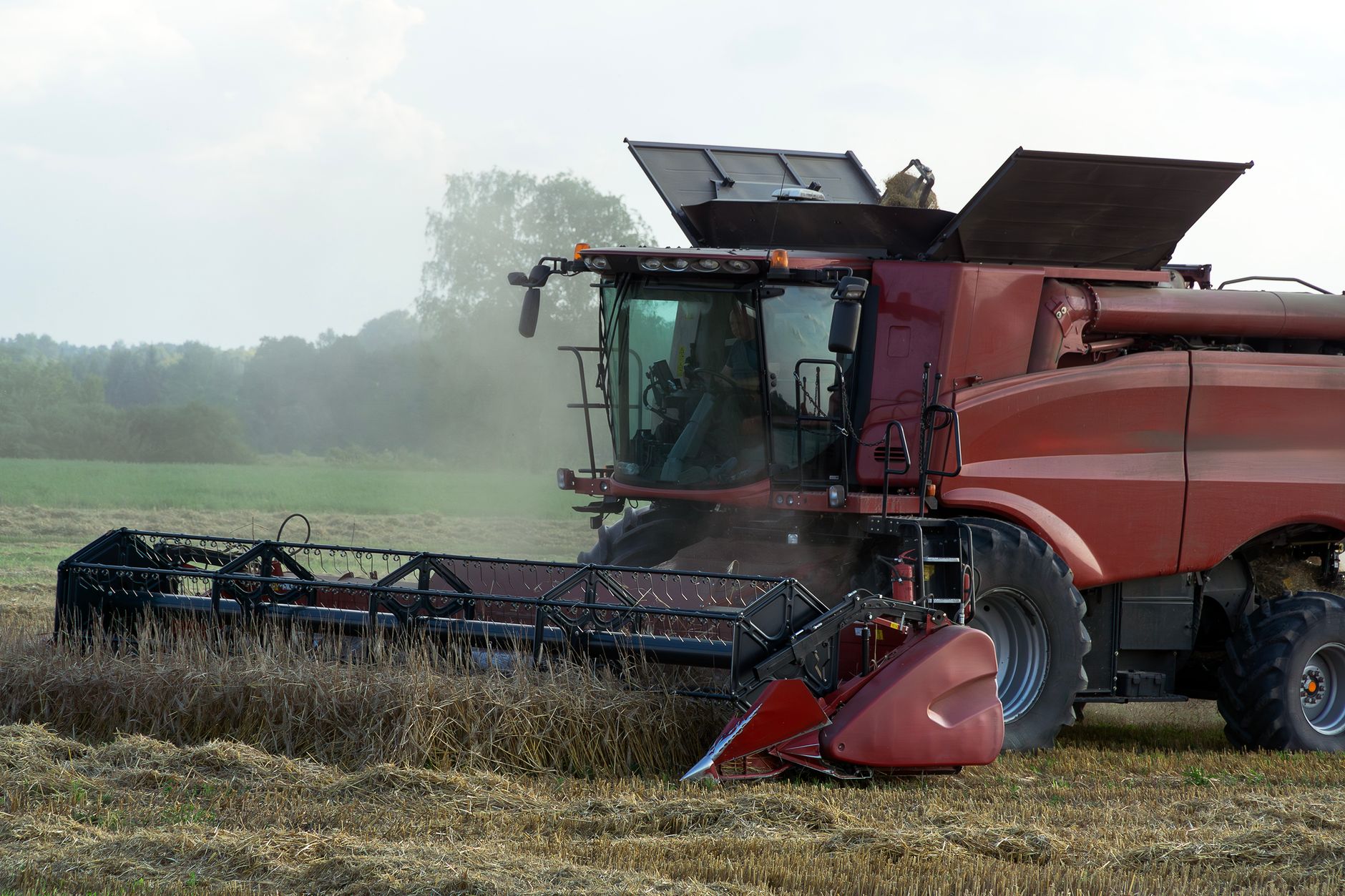 Combine harvester working efficiently in a wheat field during a sunny day, showcasing modern agriculture.