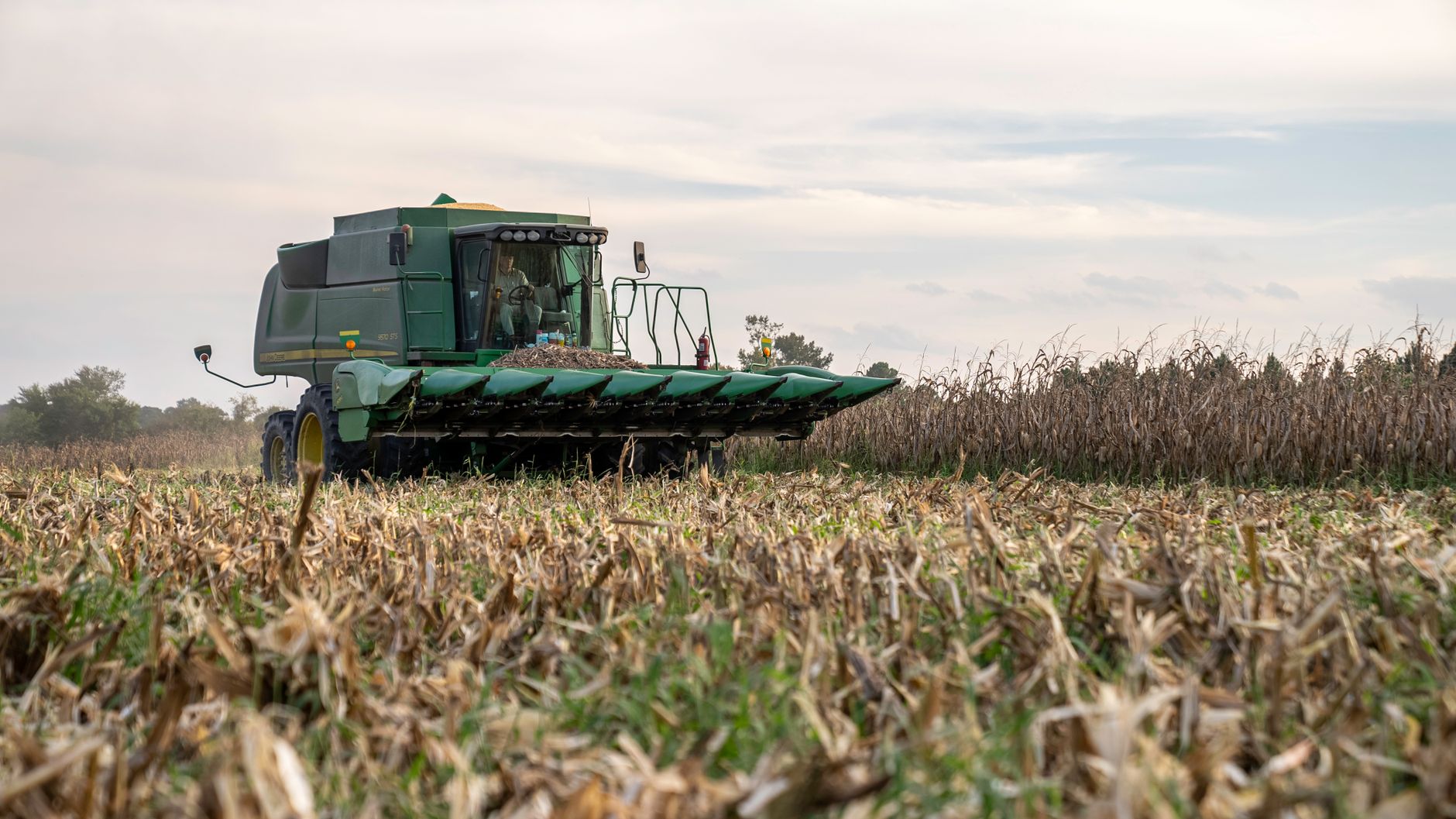 Tractor harvesting corn in North Carolina. Captured during fall, showcasing modern farming techniques and machinery.