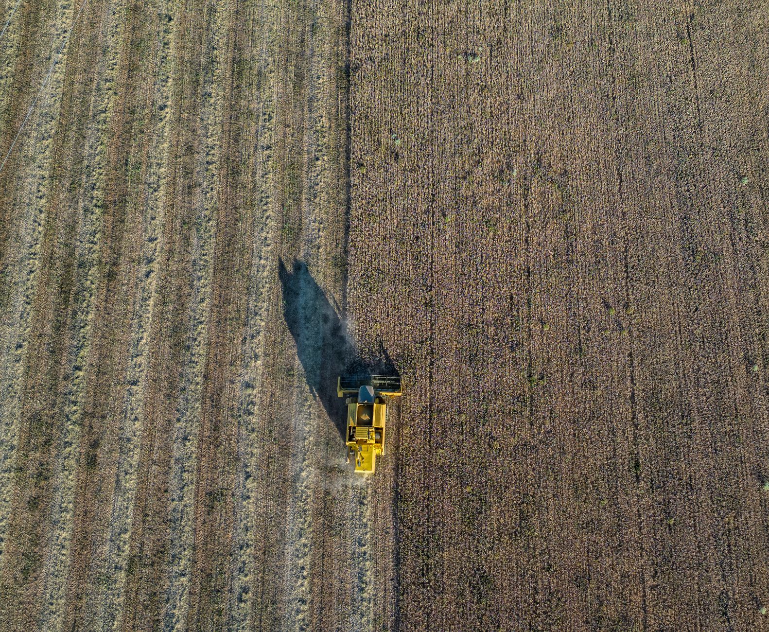 Drone image of a combine harvester working in a vast field during harvest season in Valladolid, Spain.