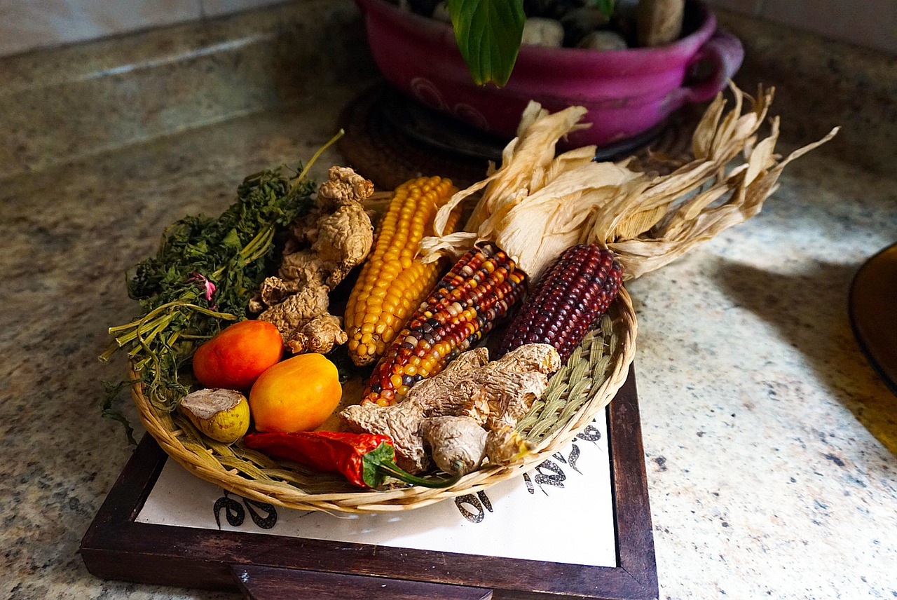 nature, corn, natural, agriculture, farm, wildflowers