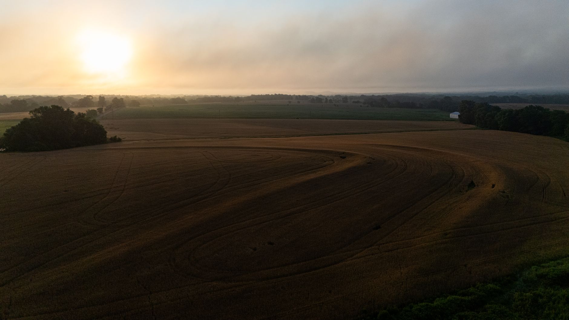 Aerial view of a vast wheat field at sunset, capturing gentle light and nature's tranquility.