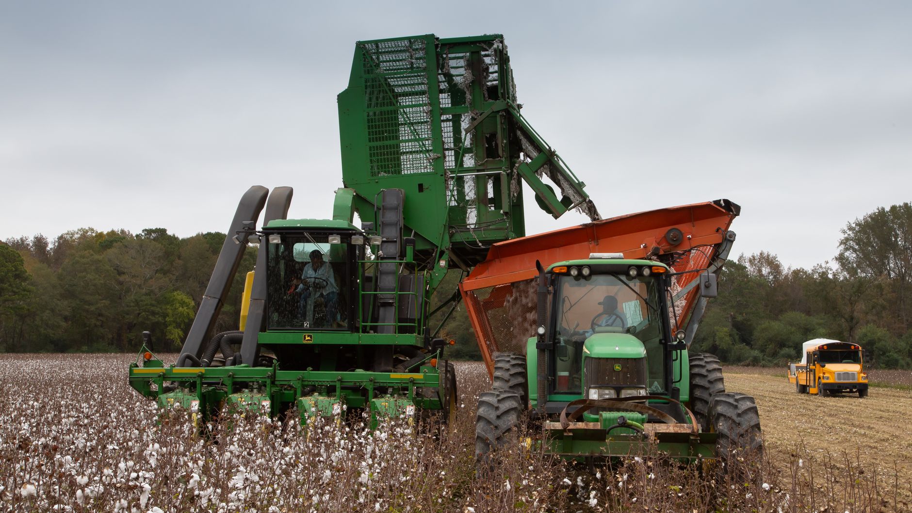 Tractors harvesting cotton on a farm in North Carolina, USA under a cloudy sky.