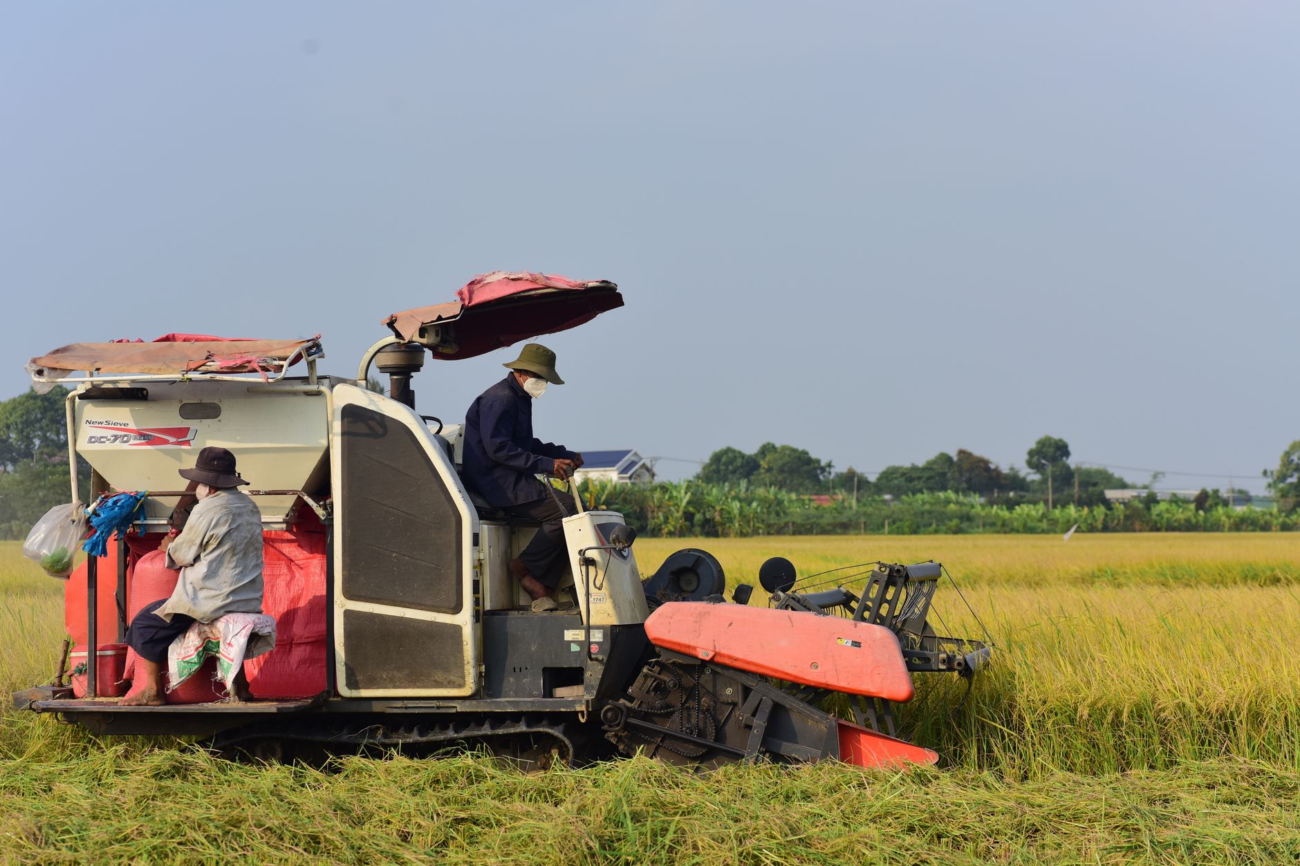 Two farmers operating a rice harvester in a green field under a clear sky, showcasing modern agriculture.