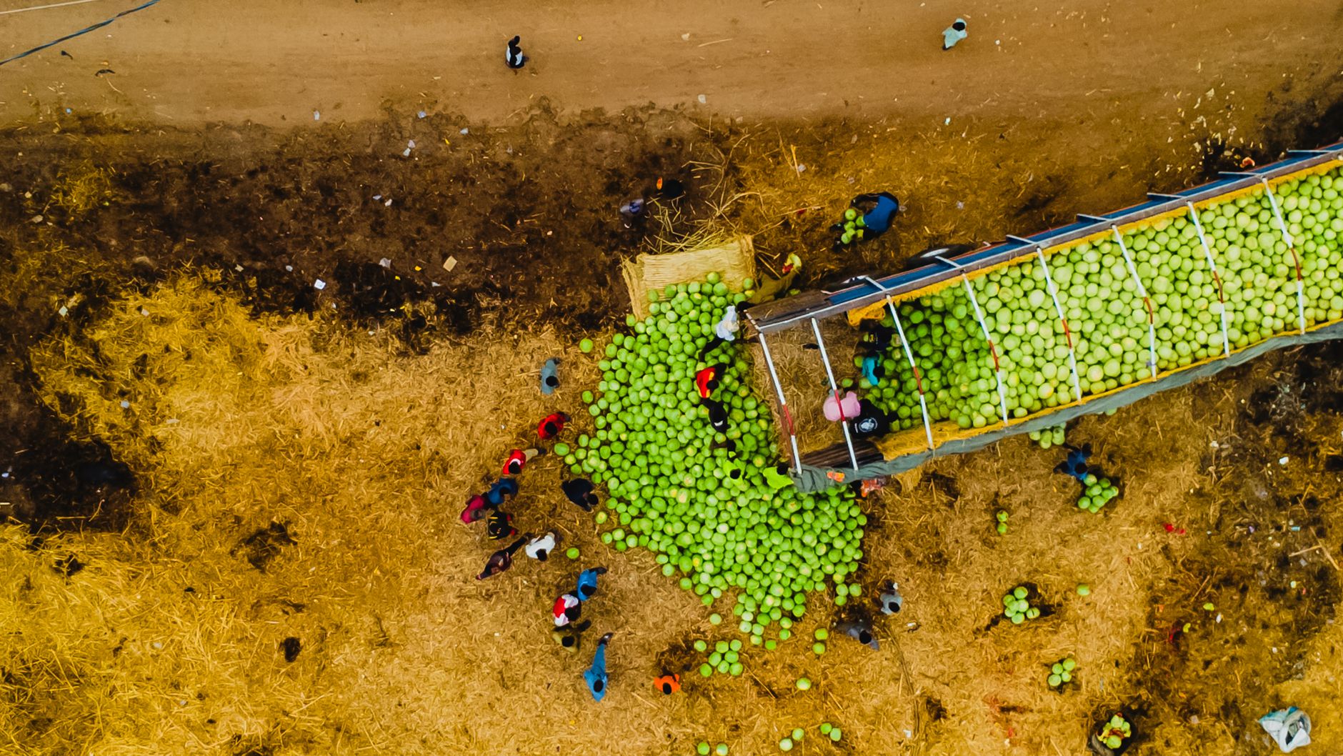 Aerial shot of people unloading melons from a truck in Abuja, Nigeria.