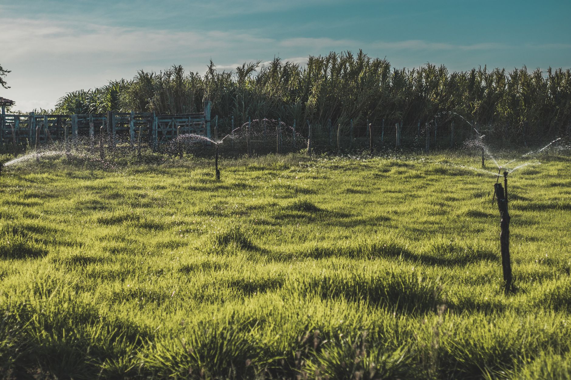 A vibrant green field in Brazil with irrigation sprinklers under a blue sky.