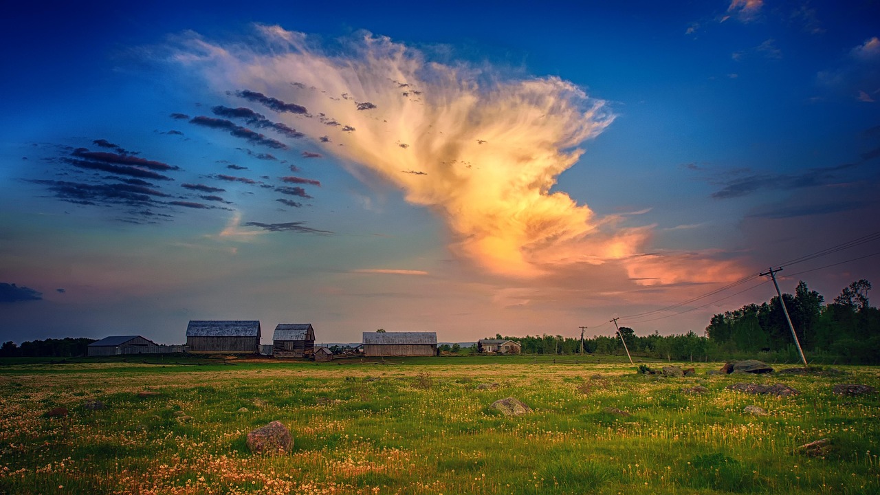 heaven, nature, panorama, grass, landscape, dramatic, cloud, cumulus, grasses, plant, meadow, green, field, farm yard, barn, wide angle, blue, canada, summer, outlook, wide angle, wide angle, wide angle, wide angle, wide angle