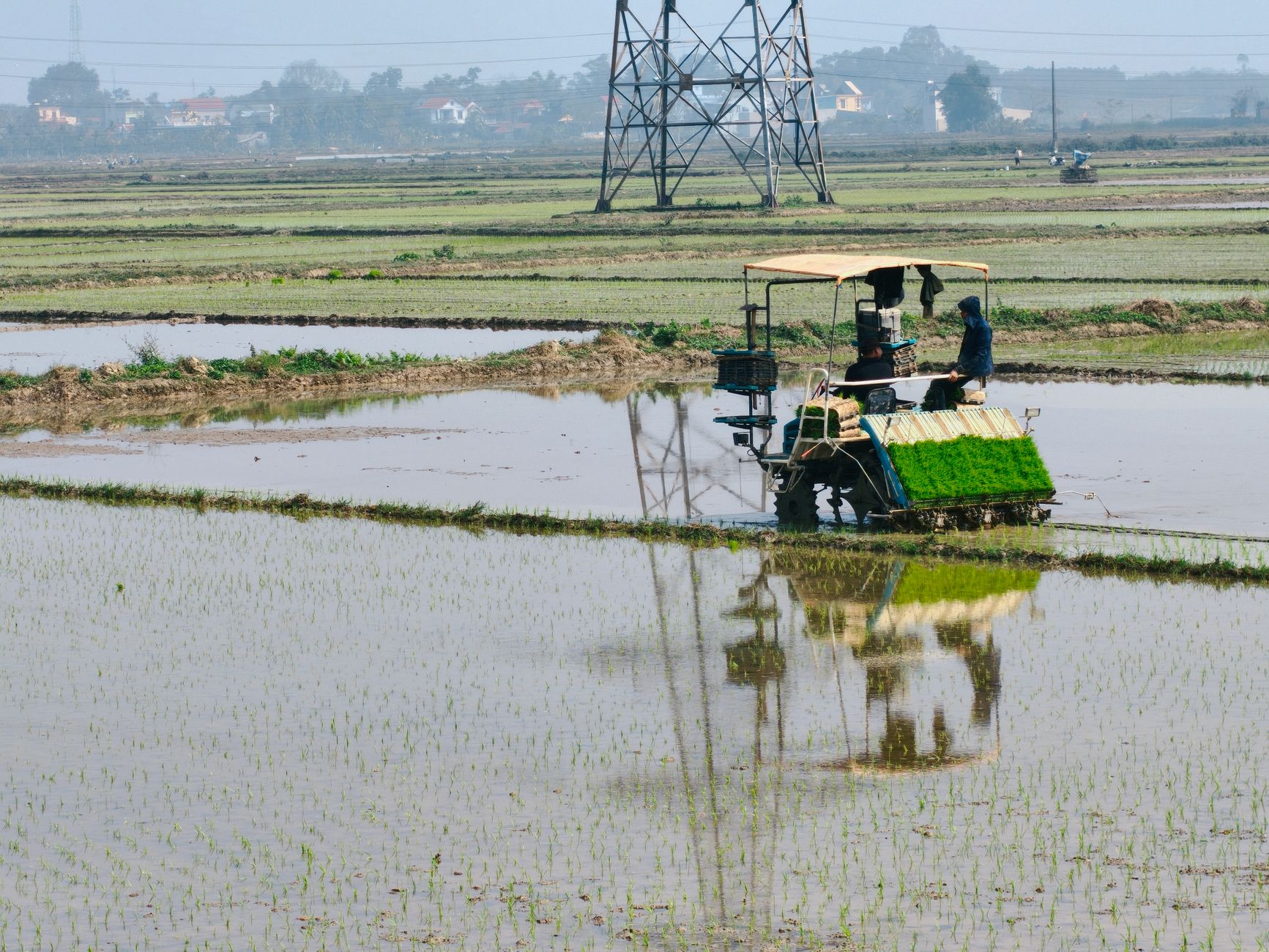 A farmer operates a planting machine in a flooded rice paddy field under a clear sky.