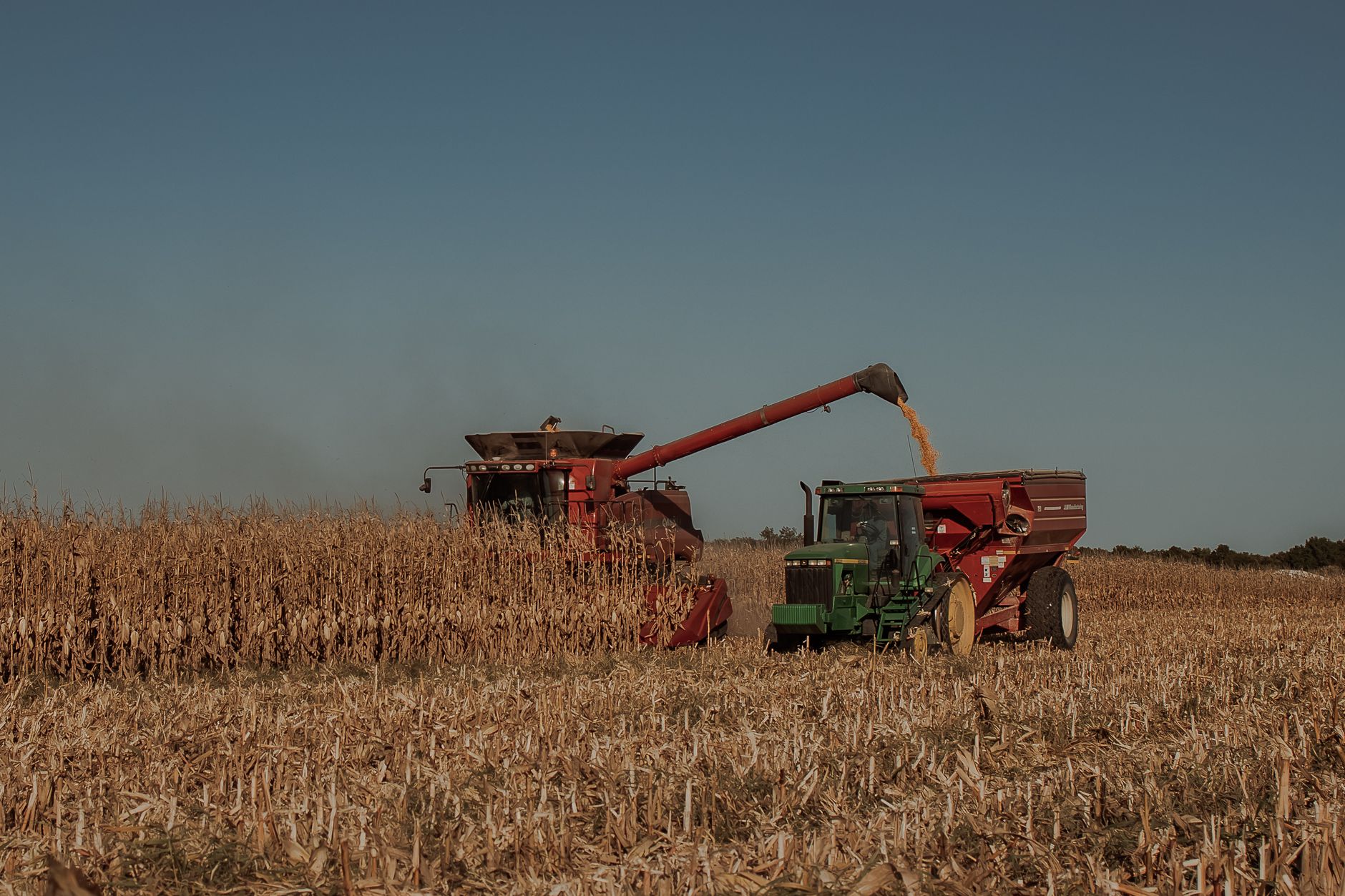 Combine harvester transferring corn to a cart in a vast field under clear blue sky.