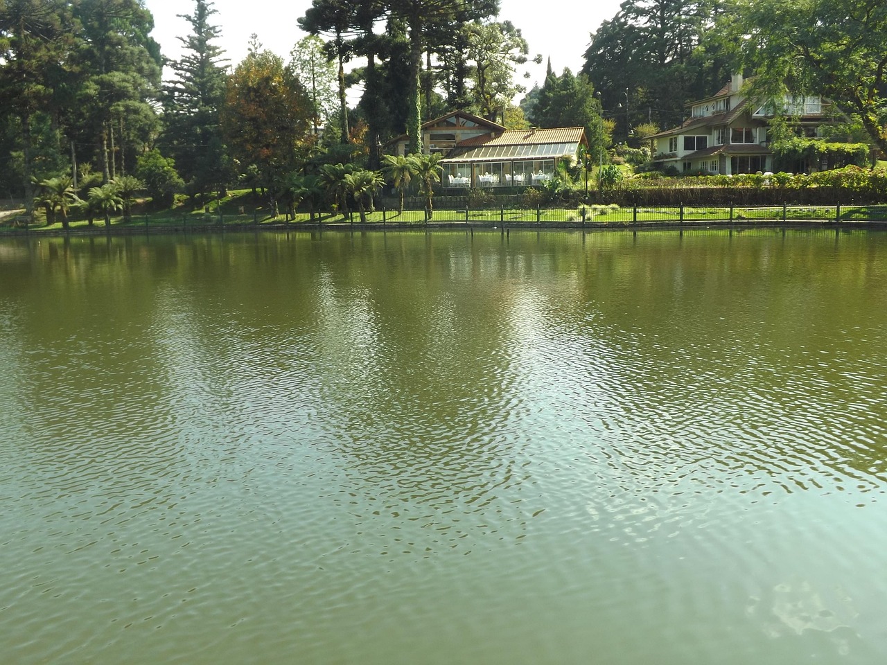 lake, lawn, rio grande do sul, brazil, nature, water, park, garden, hotels, houses