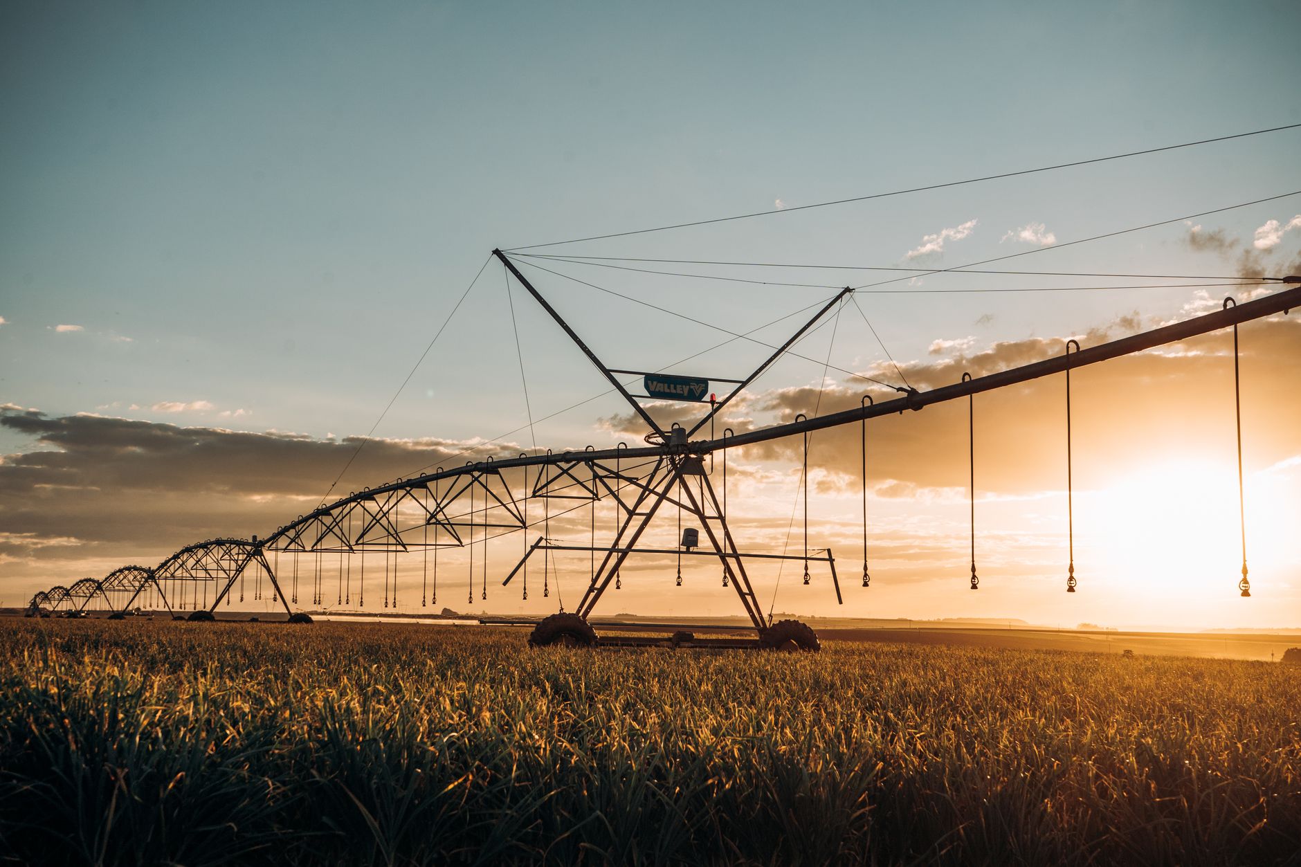 A vast irrigation system spans a lush rural field during a vibrant sunset, showcasing modern agriculture technology.