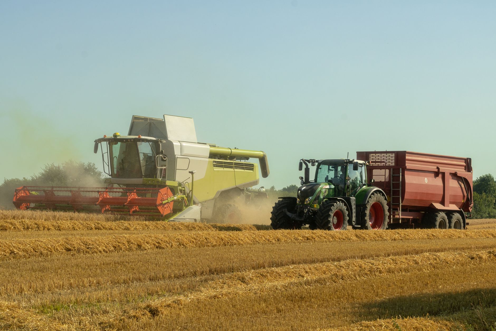 A combine harvester and tractor operate in a sunlit wheat field, capturing the essence of modern agriculture.