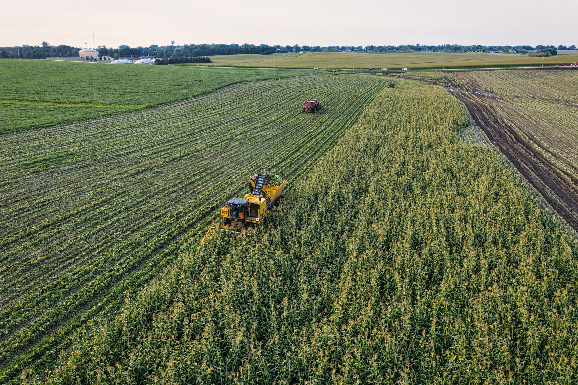 Aerial view of corn harvest using machinery in Minnesota's rural farmland.