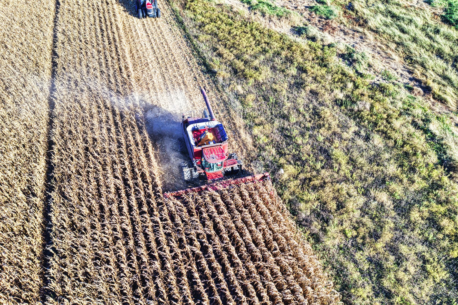 Drone captures a red harvester working a cornfield in rural Minnesota.