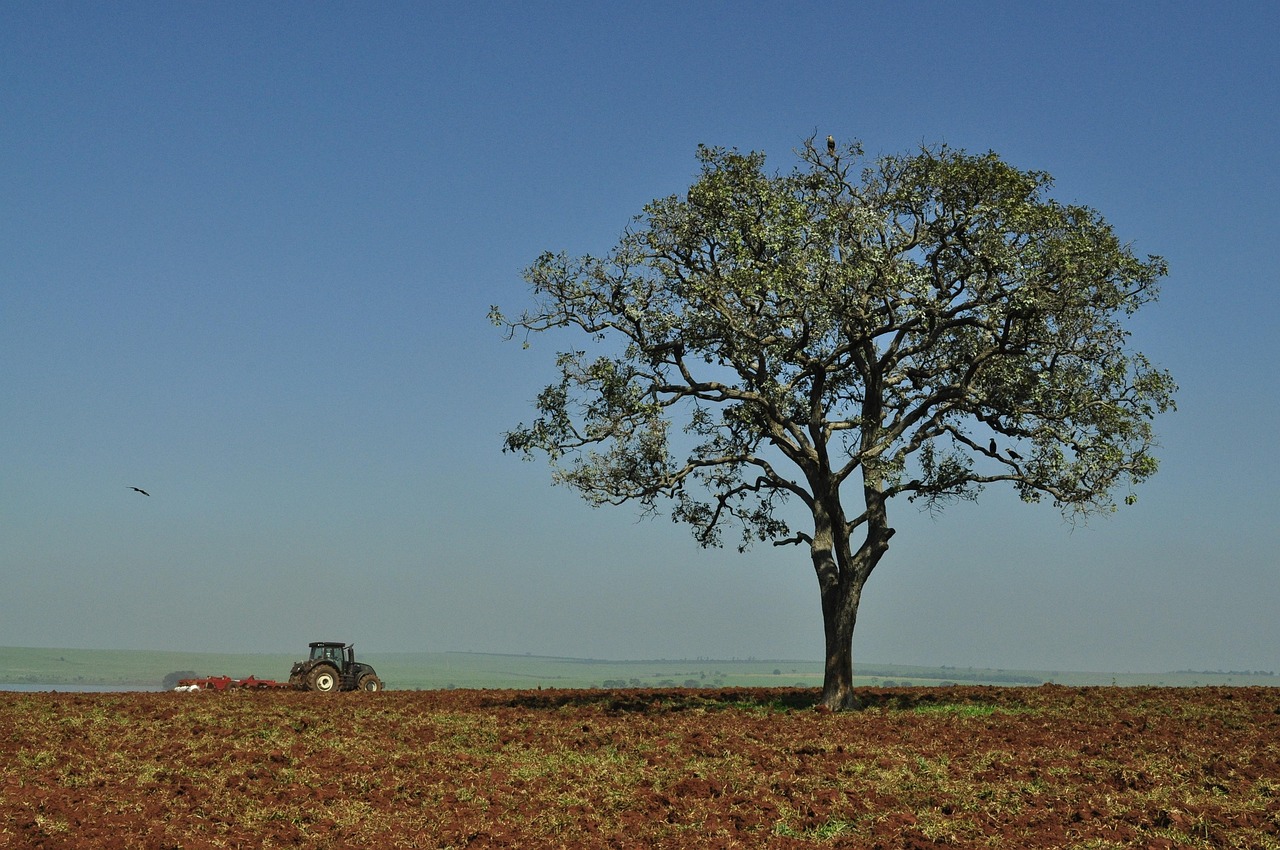 agriculture, tractor, field, são paulo, farmer, farm, job