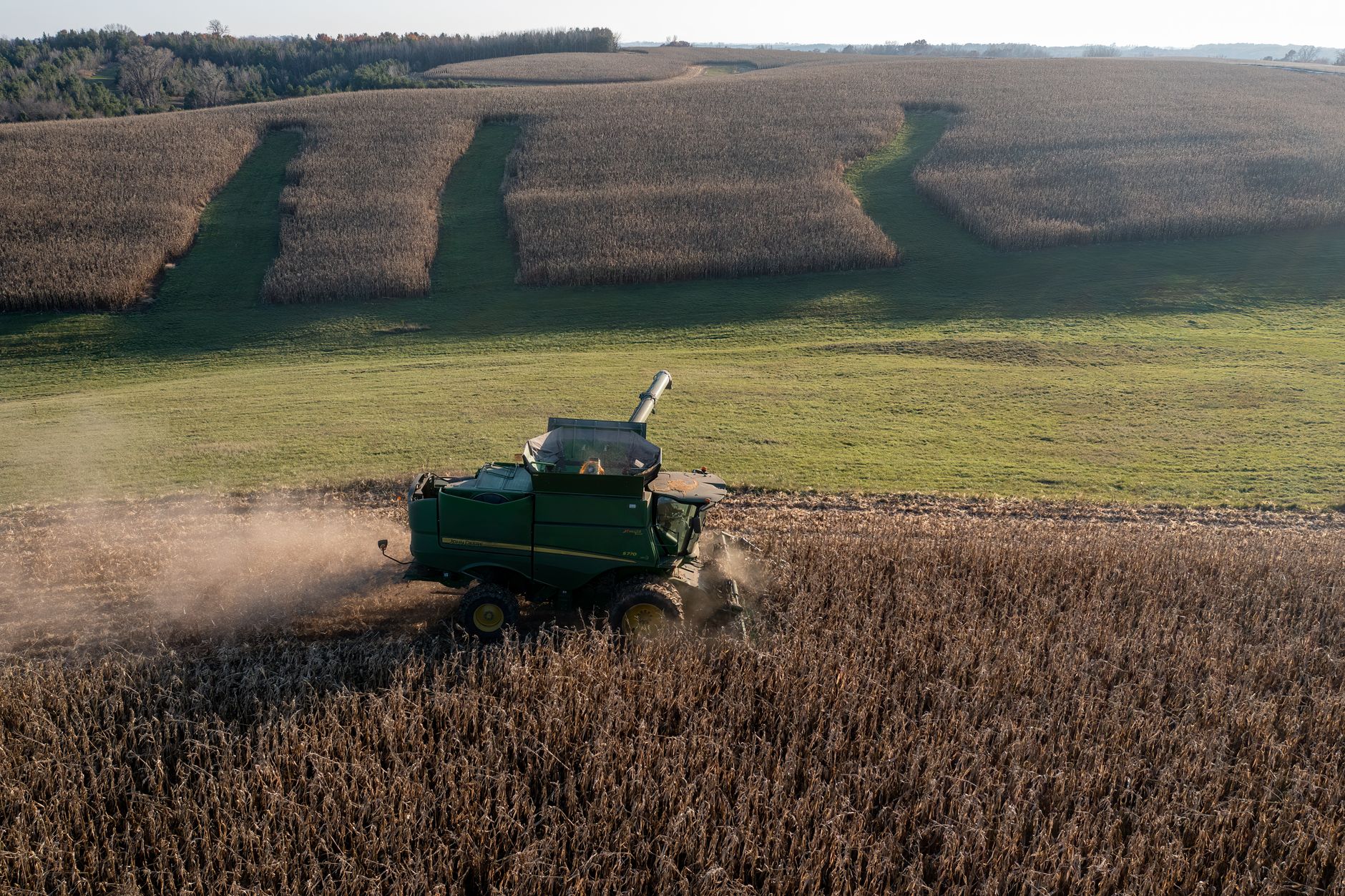 Drone view of a harvester working in a lush field in Theilman, MN, showcasing agriculture.