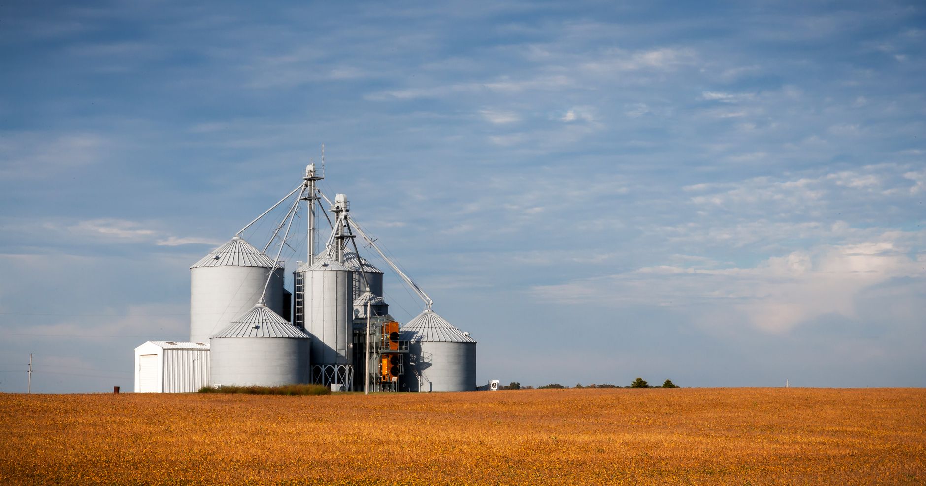 Grain storage silos in a golden agricultural field under a clear blue sky.