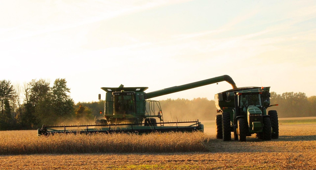 harvest, harvester, teamwork, harvesting, soybean, agriculture, farming, farm, working, team, picking, connected, connect, side by side, soybean, soybean, soybean, soybean, soybean
