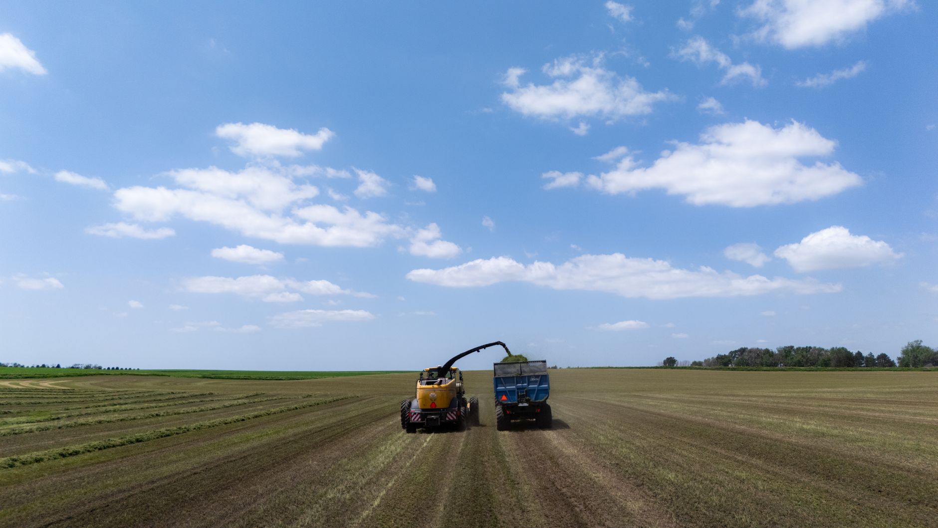 A tractor harvesting crops in a large open field under a bright blue sky.