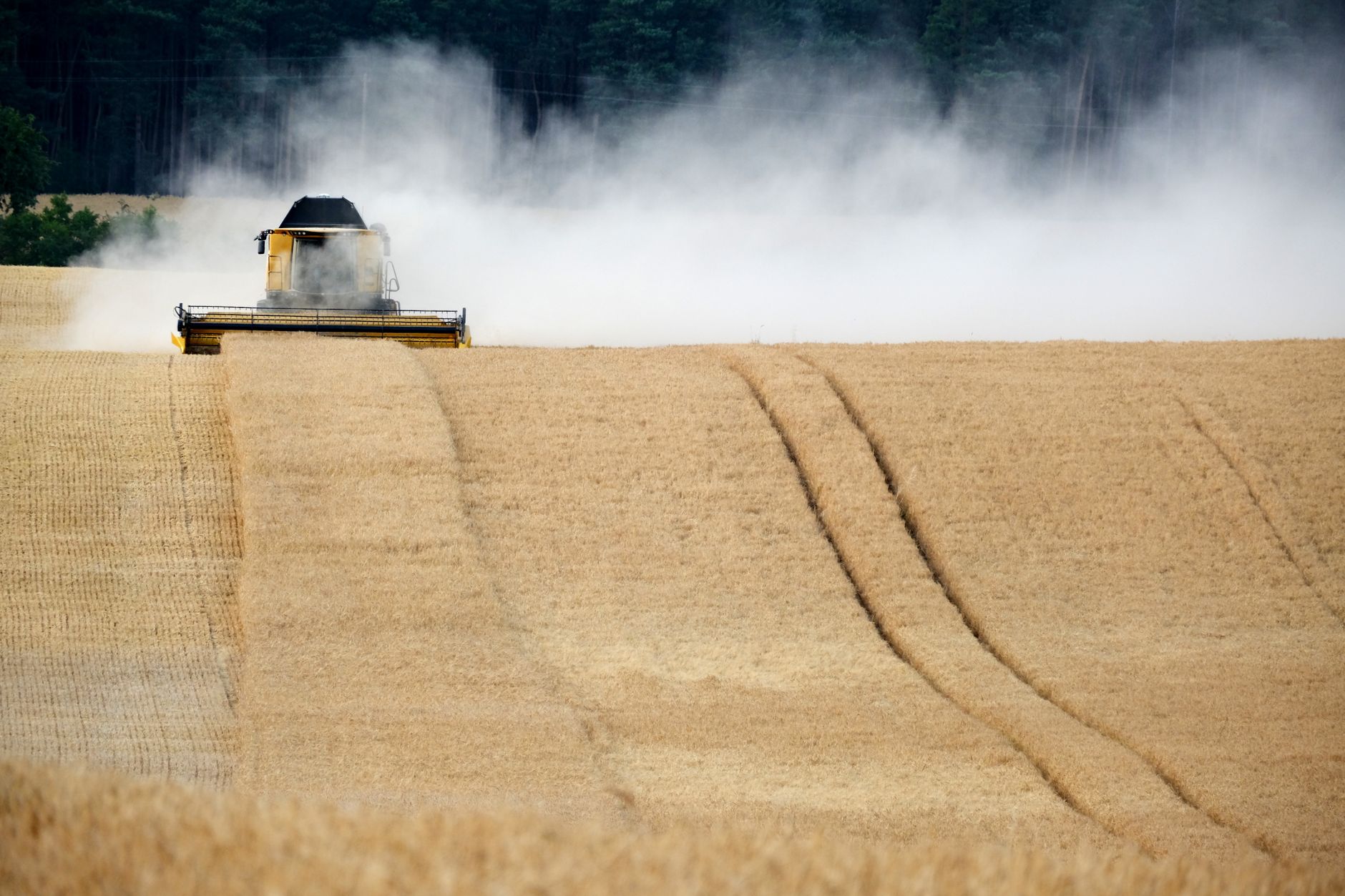 A combine harvester operates in a vast golden wheat field, producing dust as it reaps the grain under a blue sky.