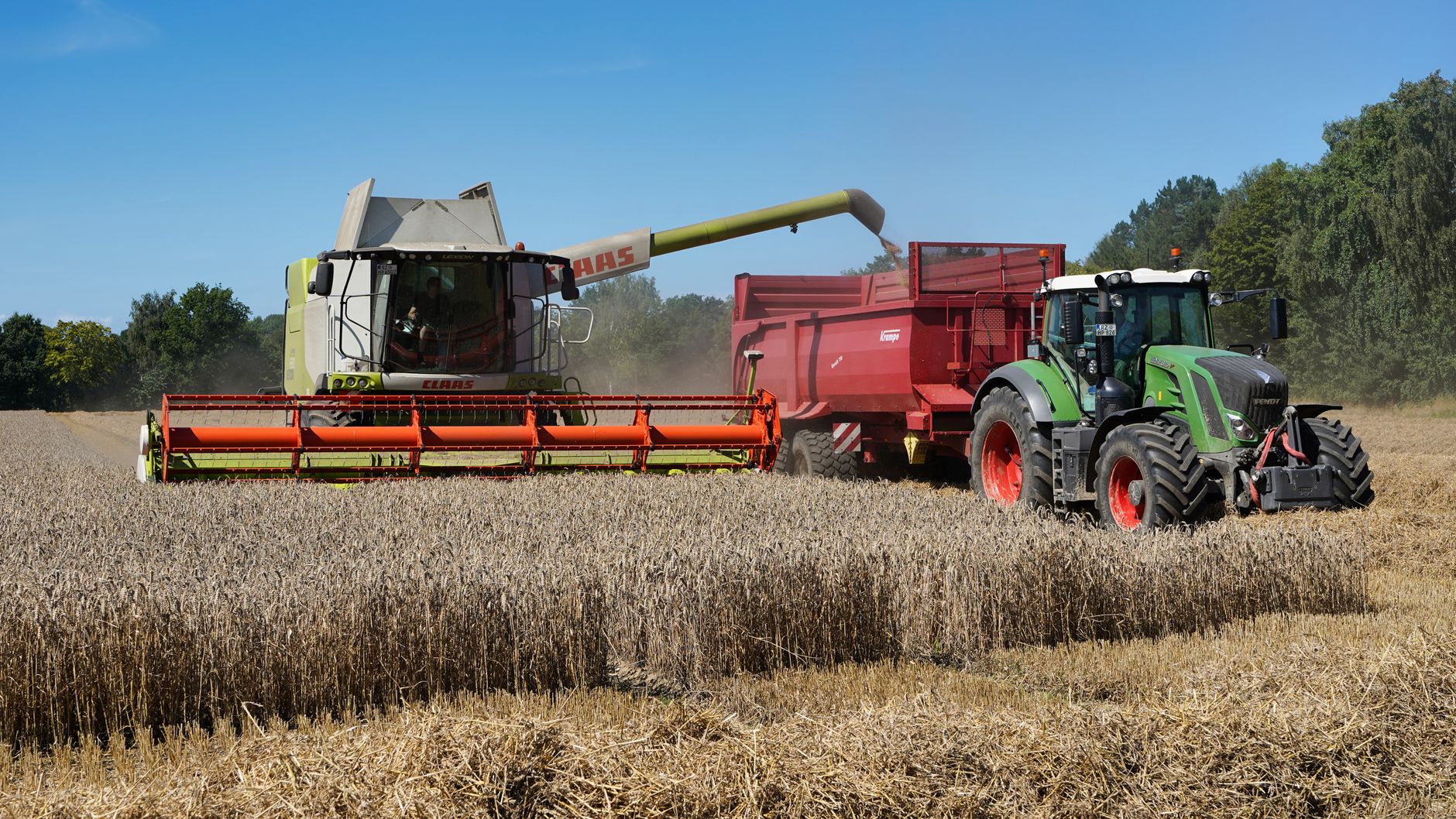 A combine harvester in a wheat field in Hohenhorn, Germany during harvest season.