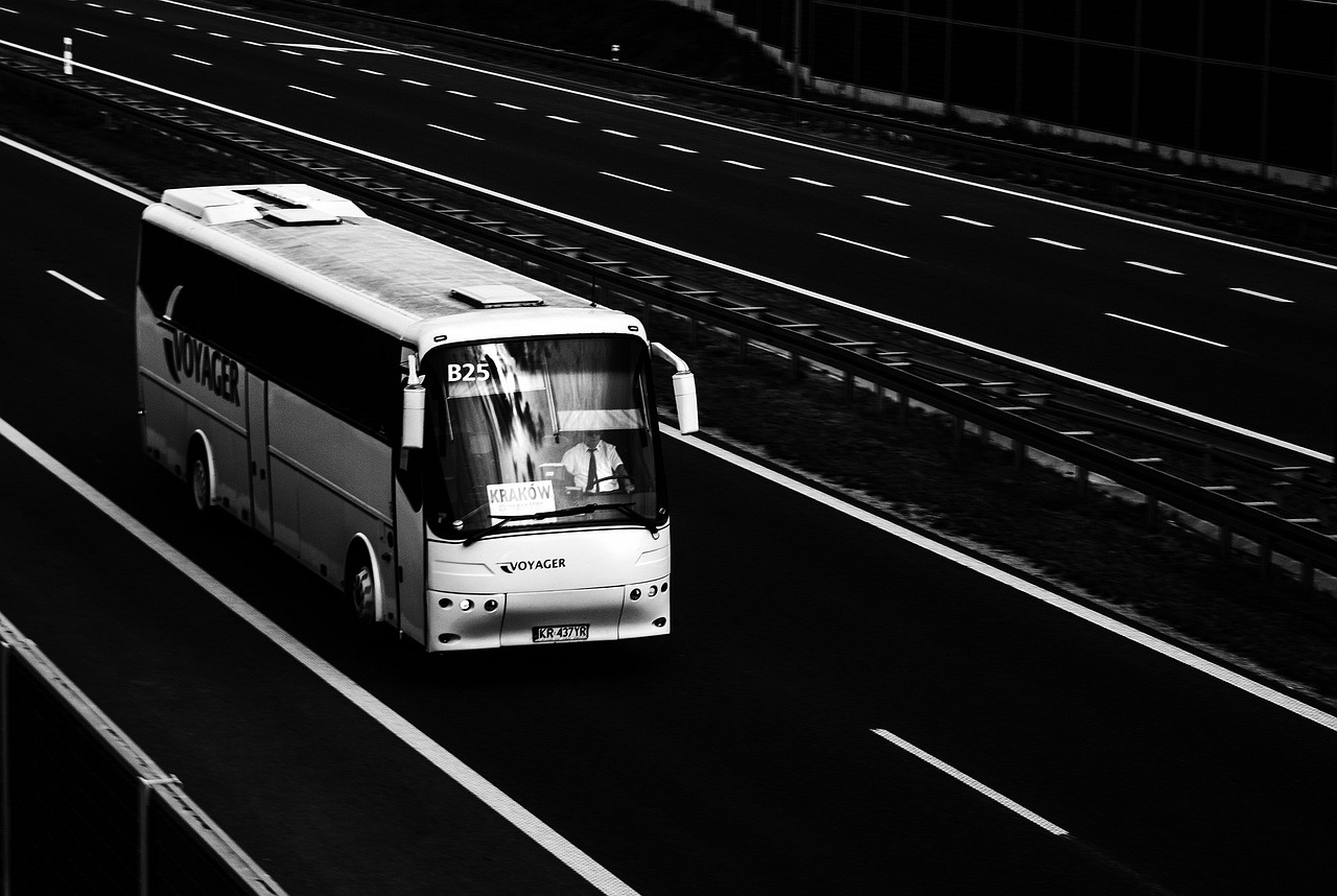 bus, bova futura, bova, futura, highway, black and white, transport, a4, voyager, driver, public, bus, bus, bus, bus, bus