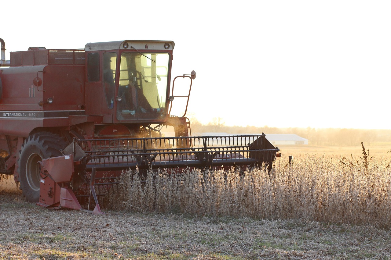 farm, soybean, harvest, agriculture, crop, rural, work, equipment, soybean, soybean, soybean, soybean, soybean