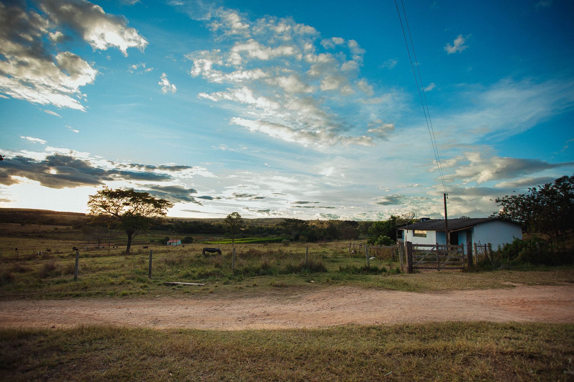 Narrow sandy road between green meadow and solitude tree and animals in grassland next to small simple house behind fence under vivid blue sky covered with highlighted clouds in summertime