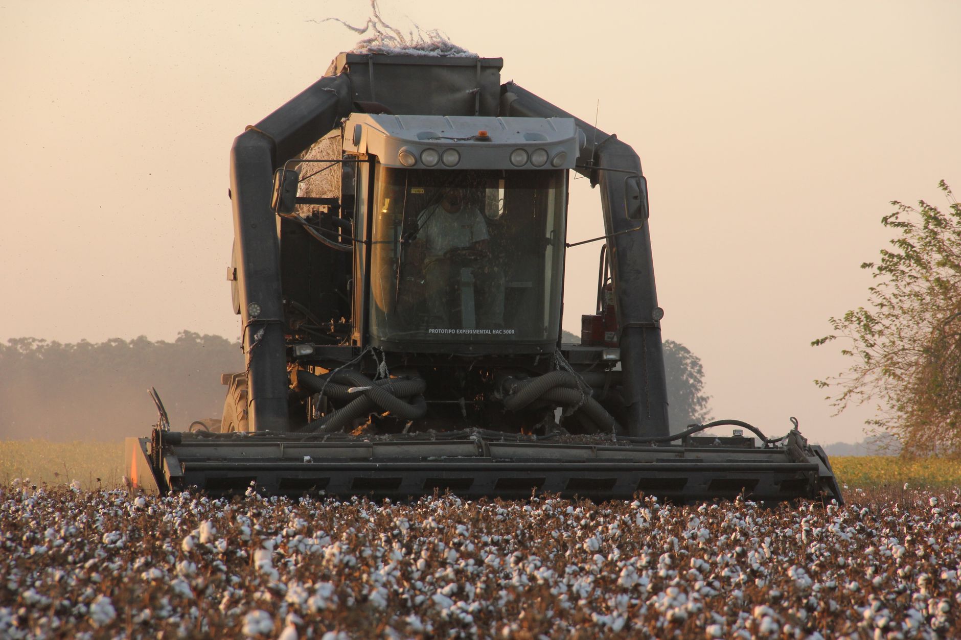 A cotton harvester working in a field during sunset in Reconquista, Argentina.