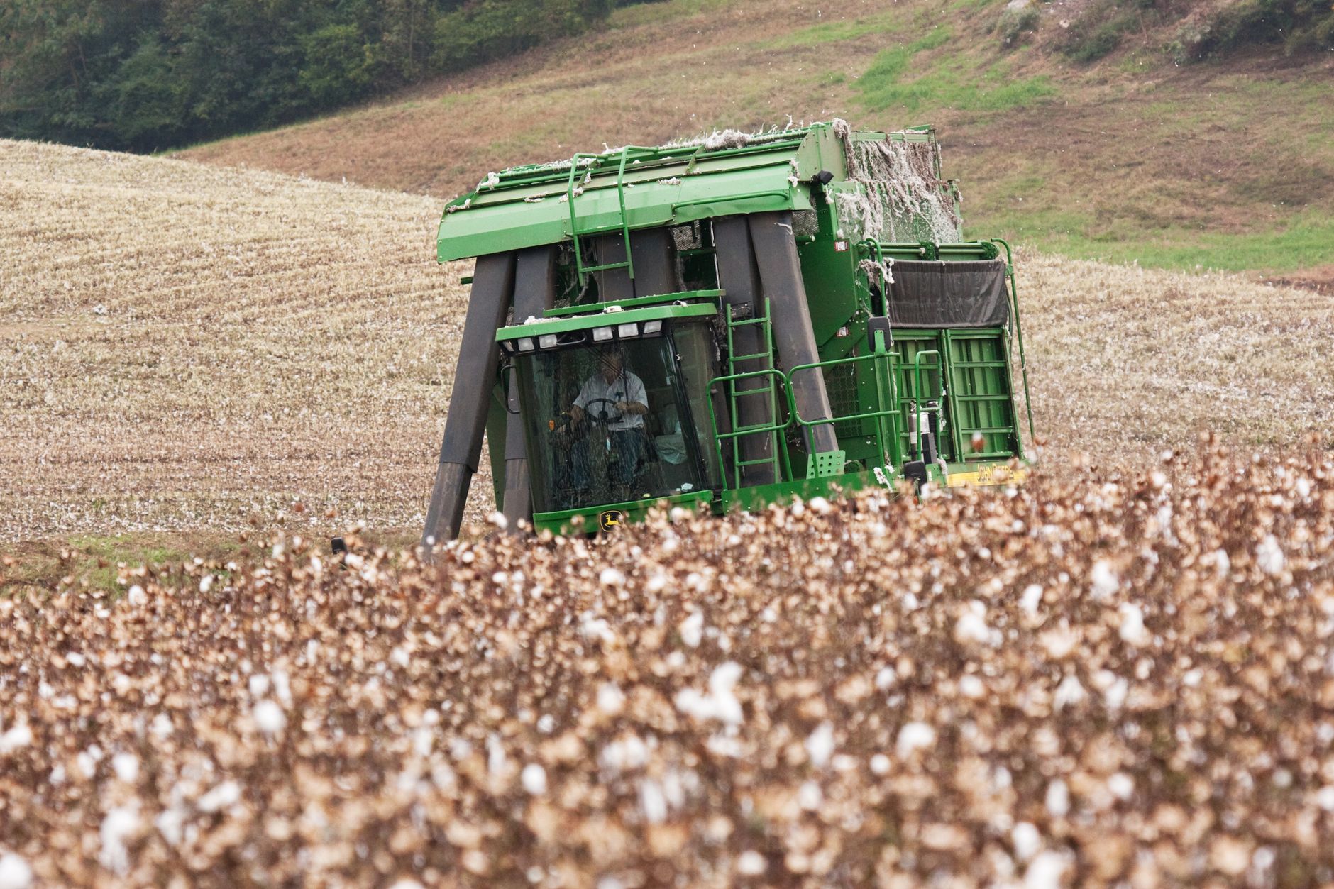 A green cotton harvester at work in a rural North Carolina field.