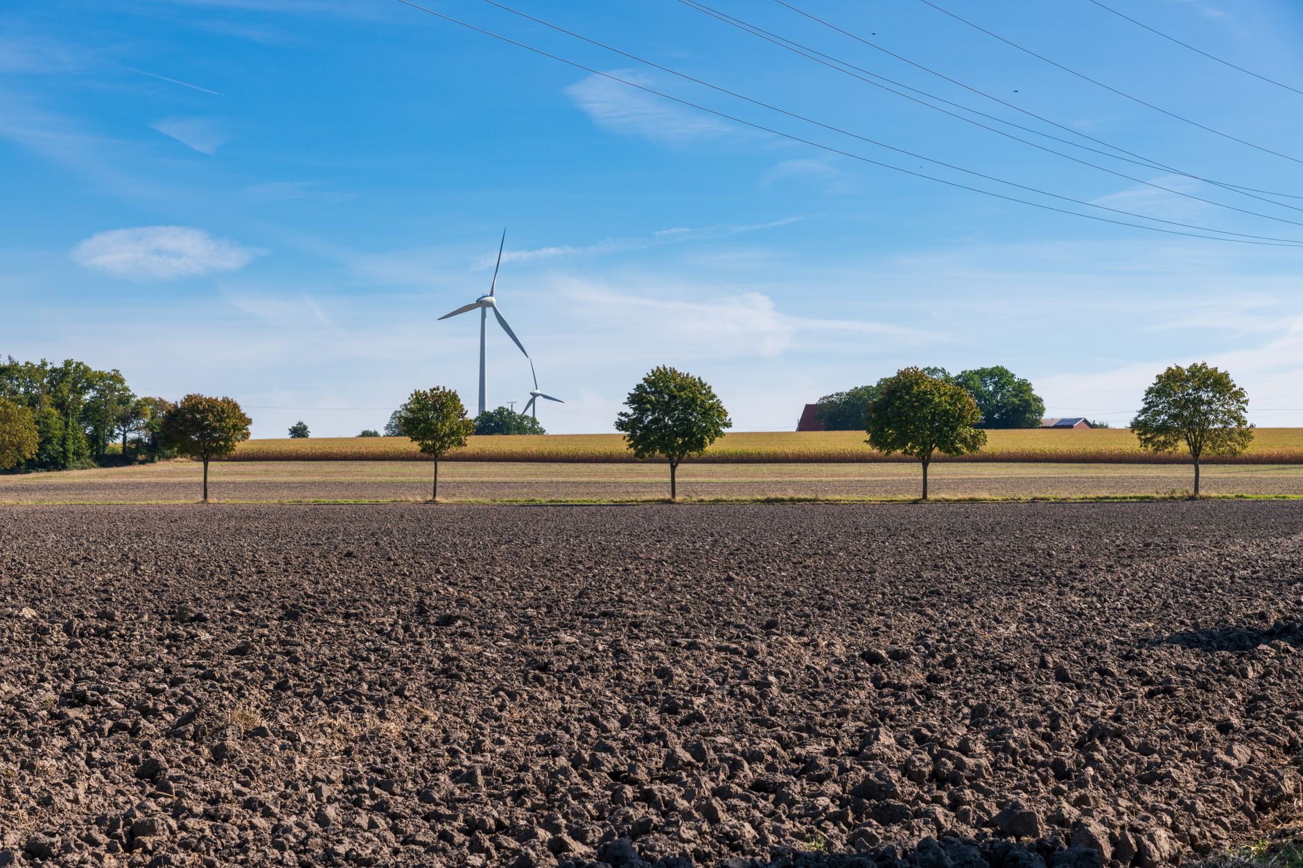 Wind turbines and fields with trees on a sunny day, showcasing sustainable energy.