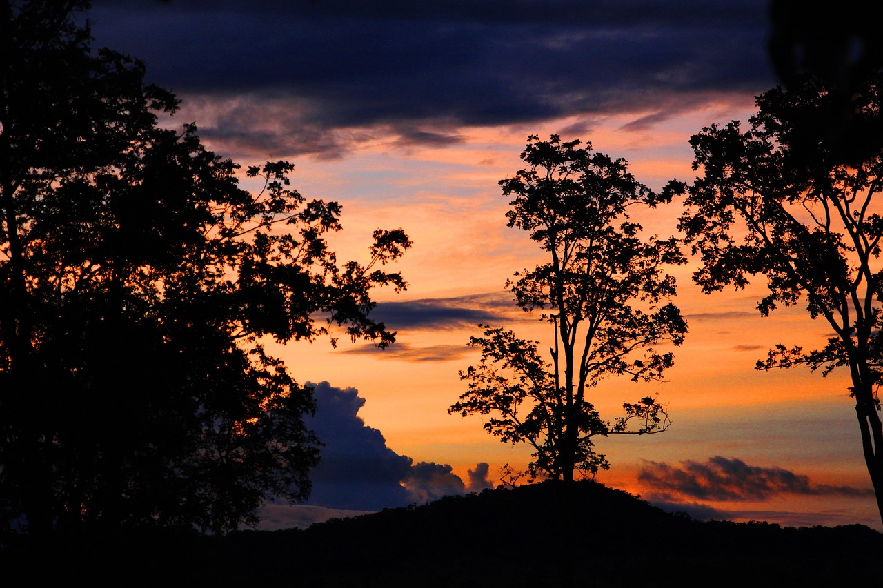 dusk, nature, mato grosso do sul, beautiful, forest, landscape, inspiration, beauty