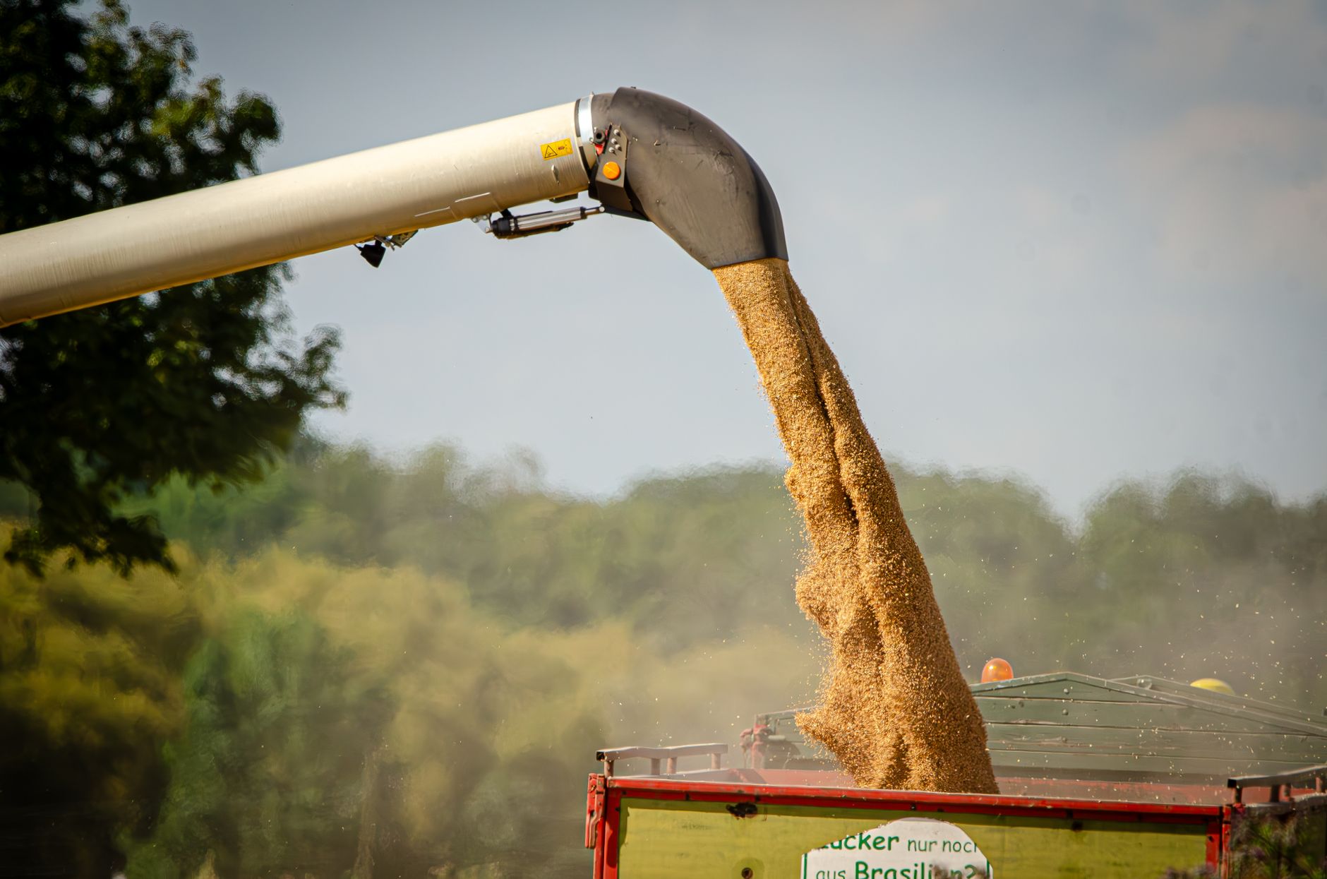 Combine harvester pouring wheat grain into a trailer during harvest season in Germany.
