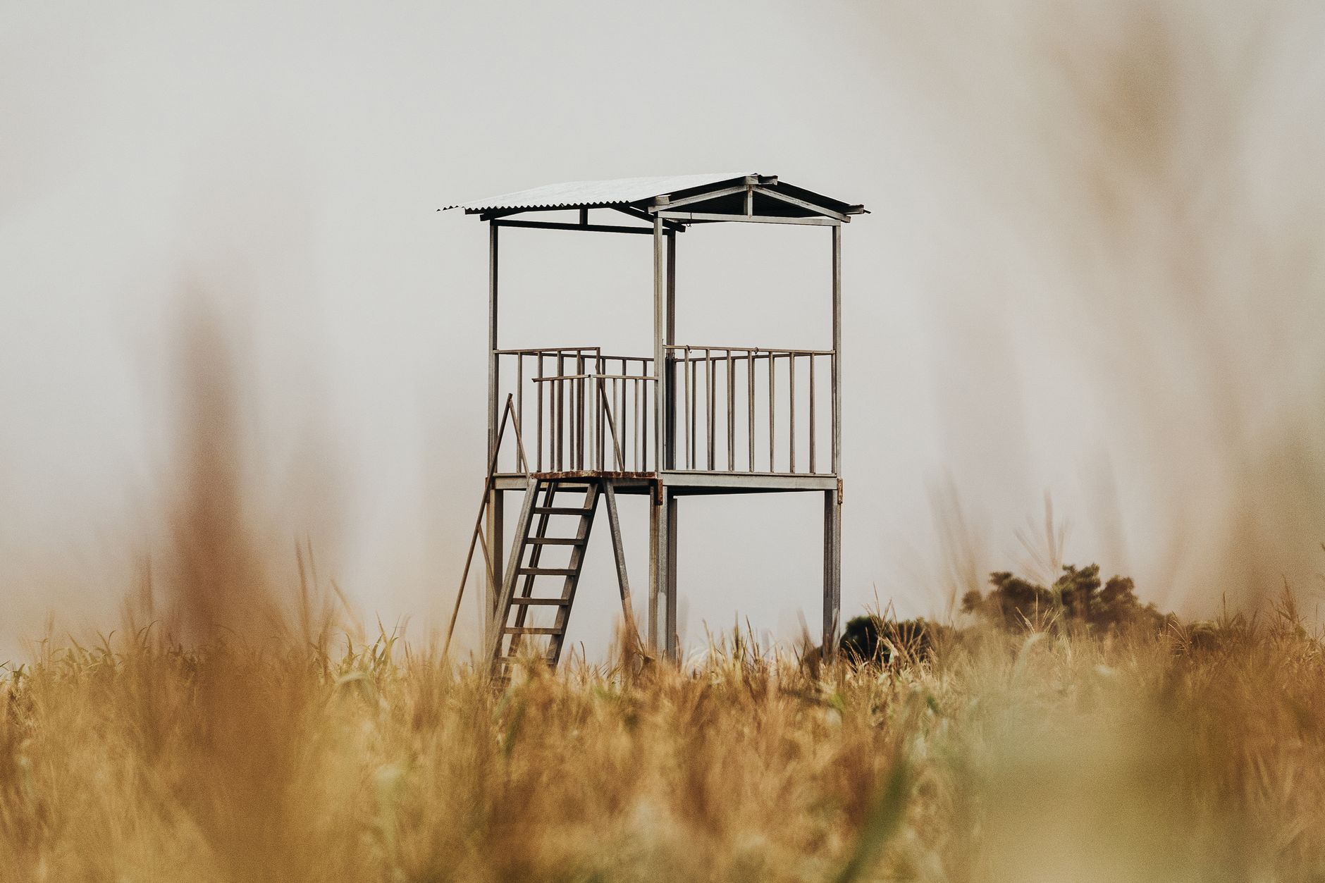 A solitary watchtower rises amidst a vast field in El Salvador, captured with minimalist elegance.