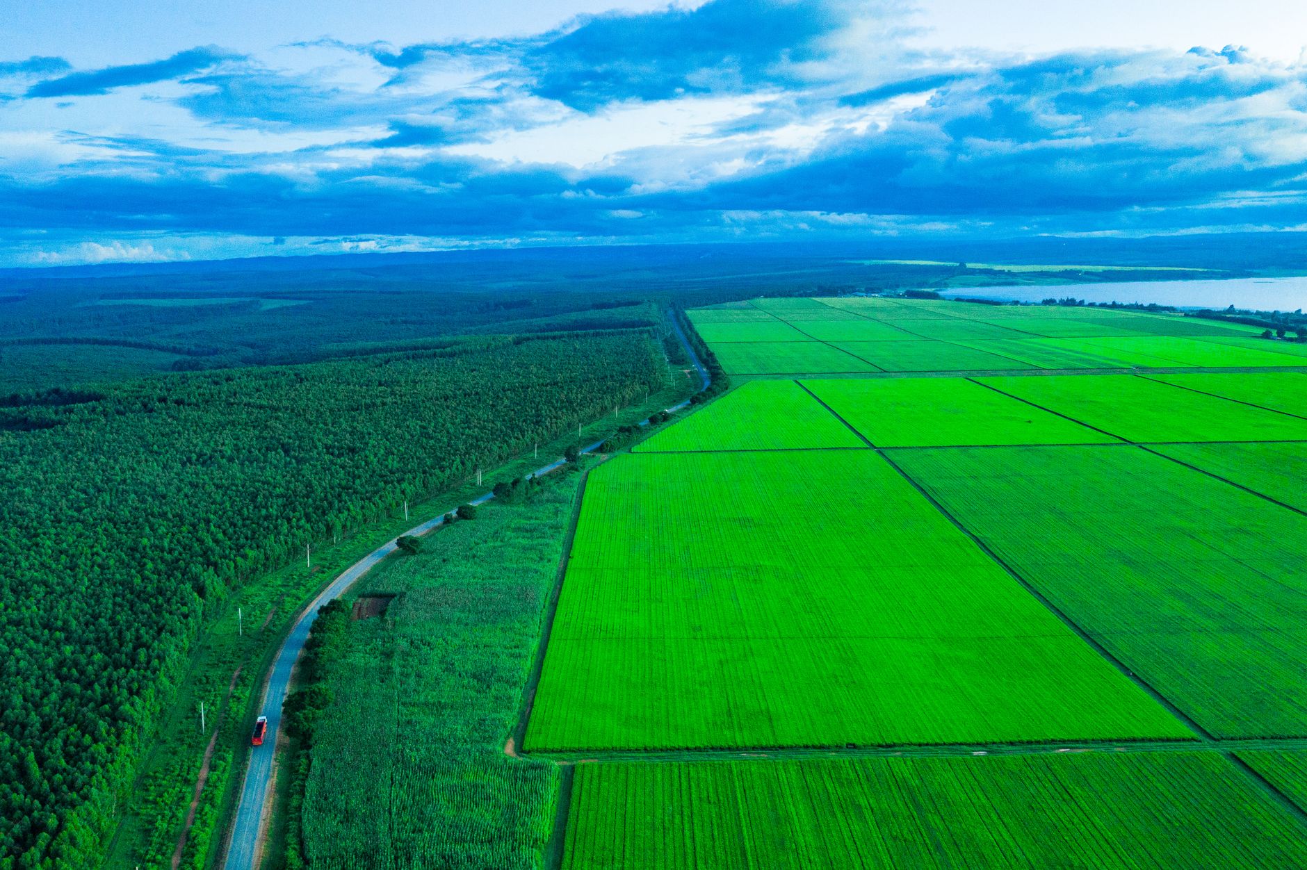Stunning aerial landscape showcasing expansive green fields and a forest in Njombe Region, Tanzania.
