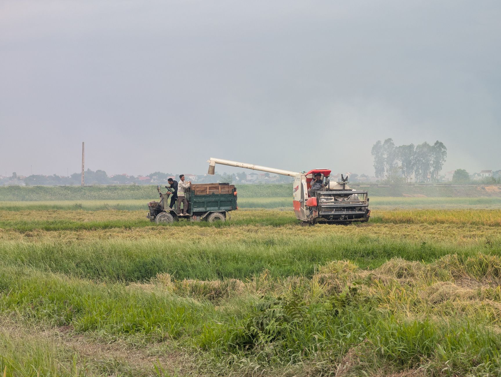 A harvester transferring crops to a truck in an expansive green field, showcasing rural agriculture.