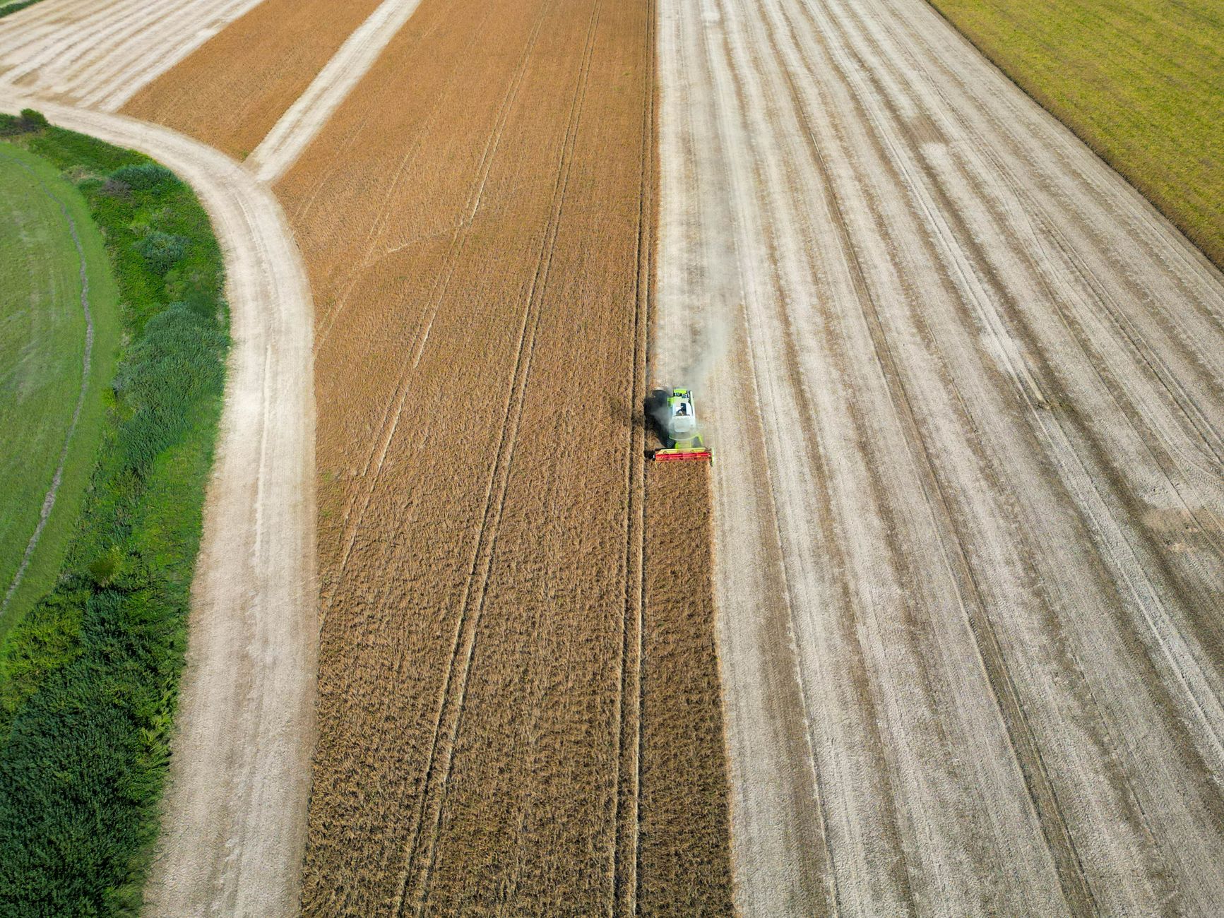 A combine harvester working in a field in Garešnica, Croatia captured from above. Agricultural landscape.