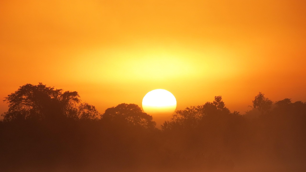 swamp, nature, dawn, day, sun, sunshine, cloud, mato grosso