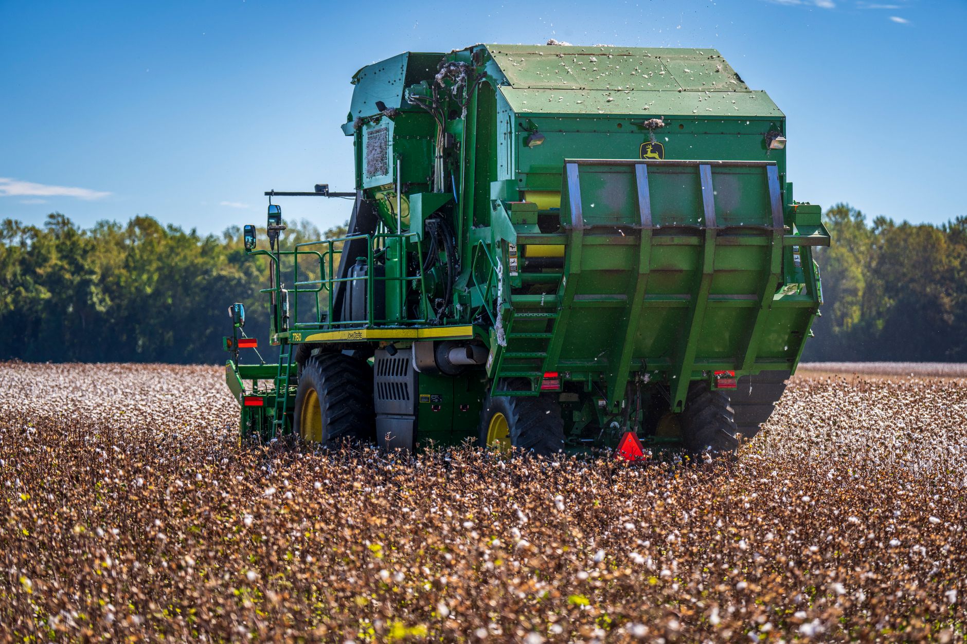 Green combine harvester working in a cotton field under a clear sky.